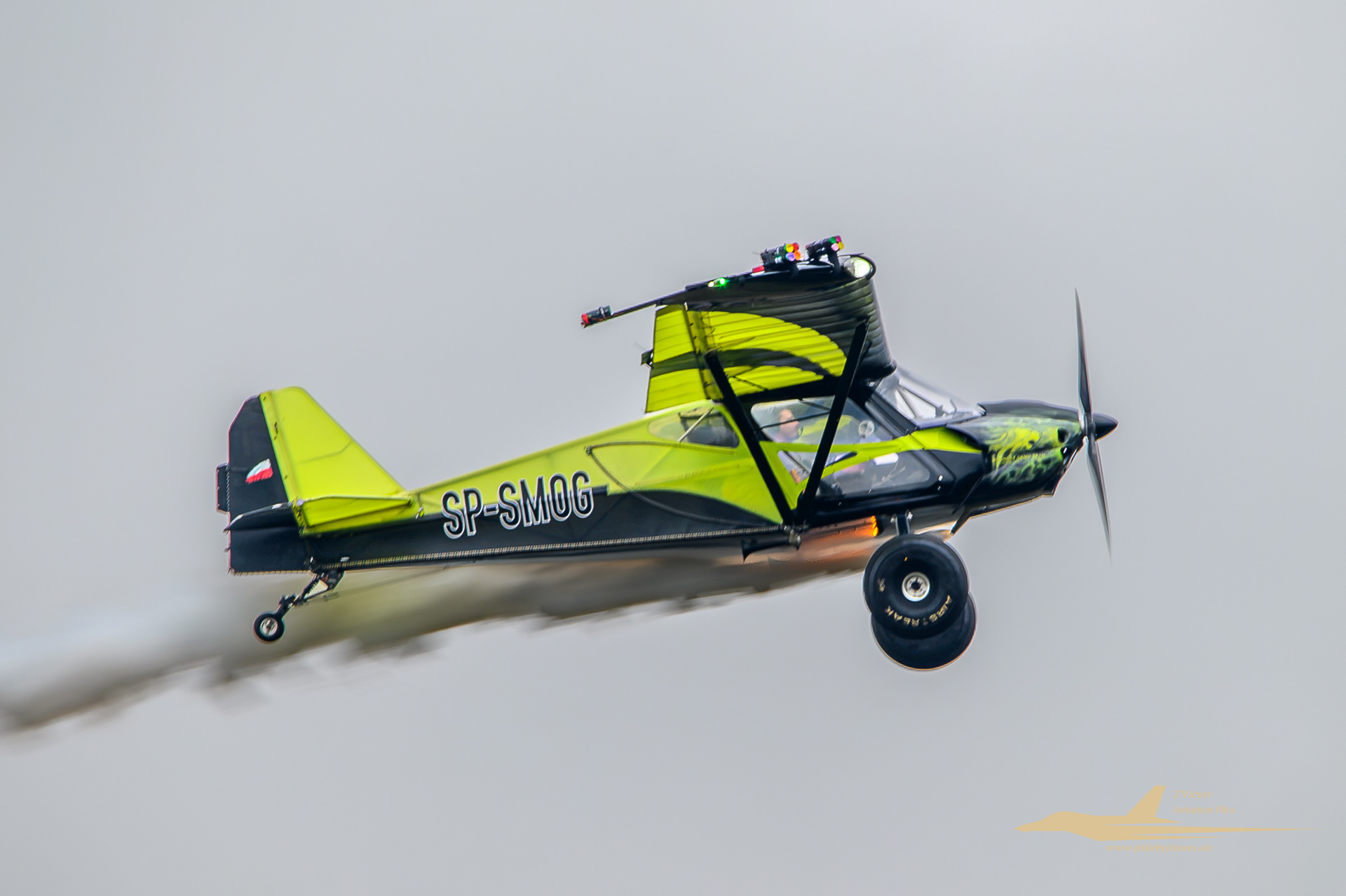BushCat Demo Team