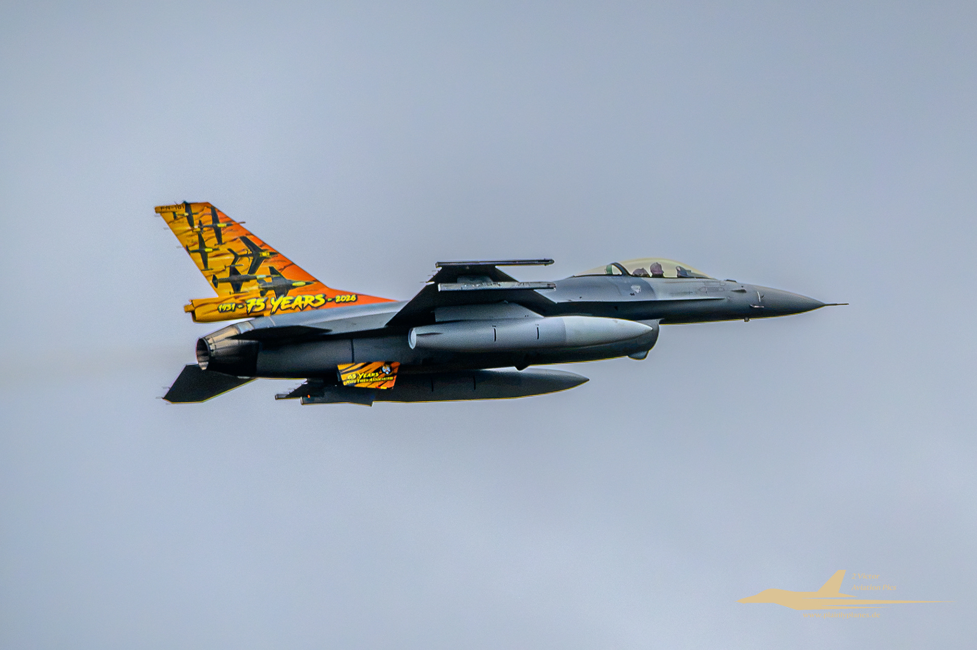 Remaining Thunder Tiger