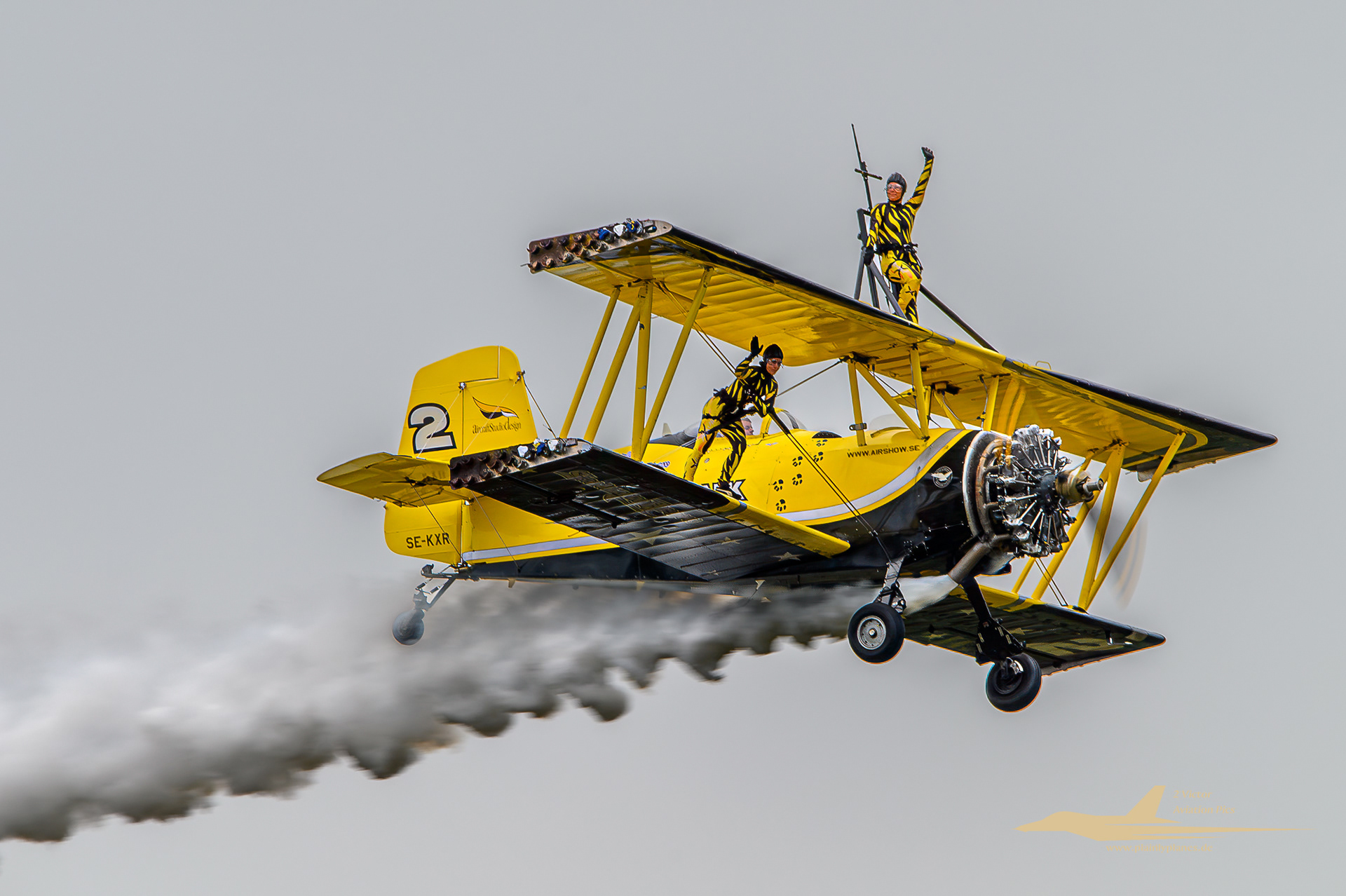 Skycats Wingwalker