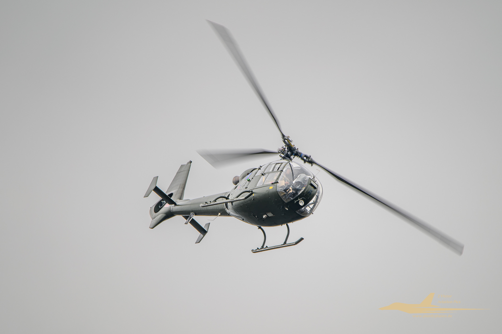 Gazelle Squadron Demo Team