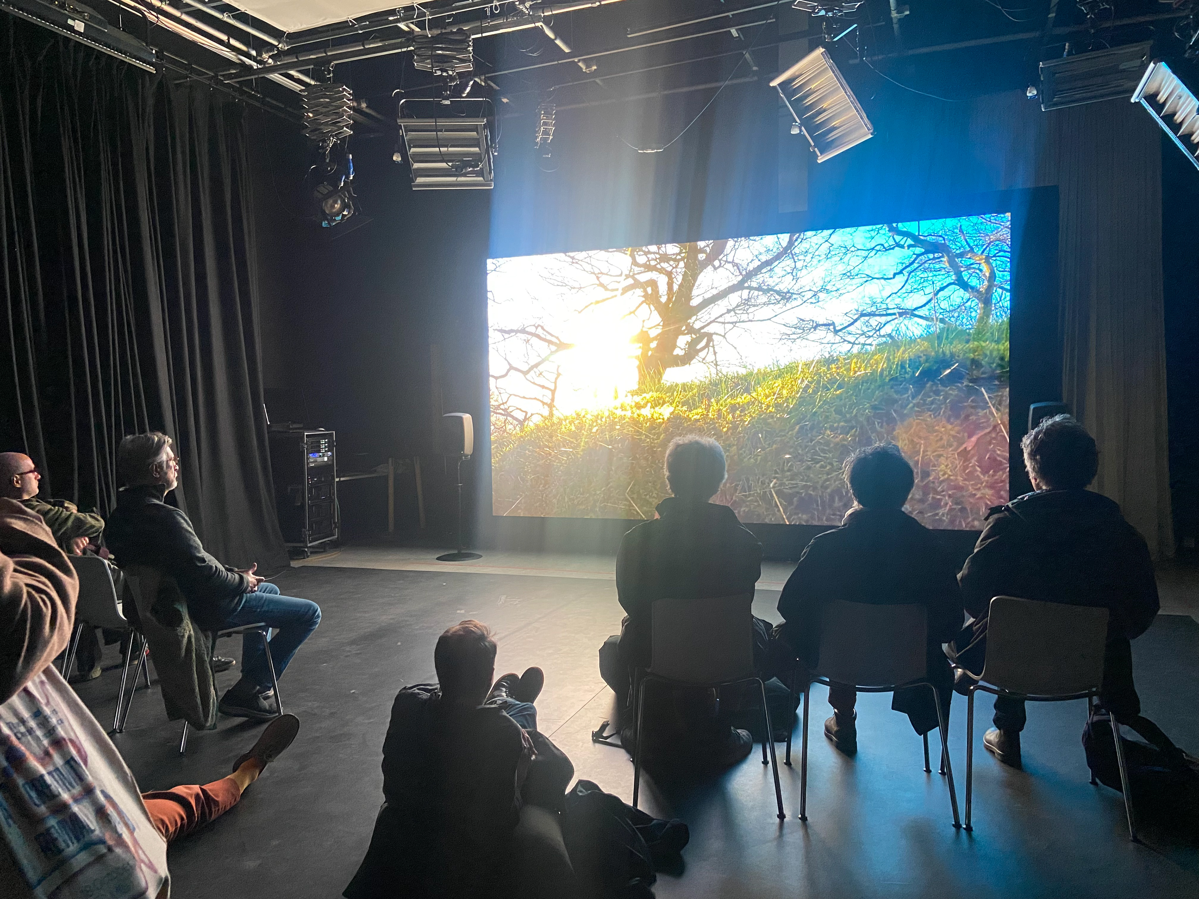 Oden: Spring, screening at Sound-Image festival, Greenwich 2024