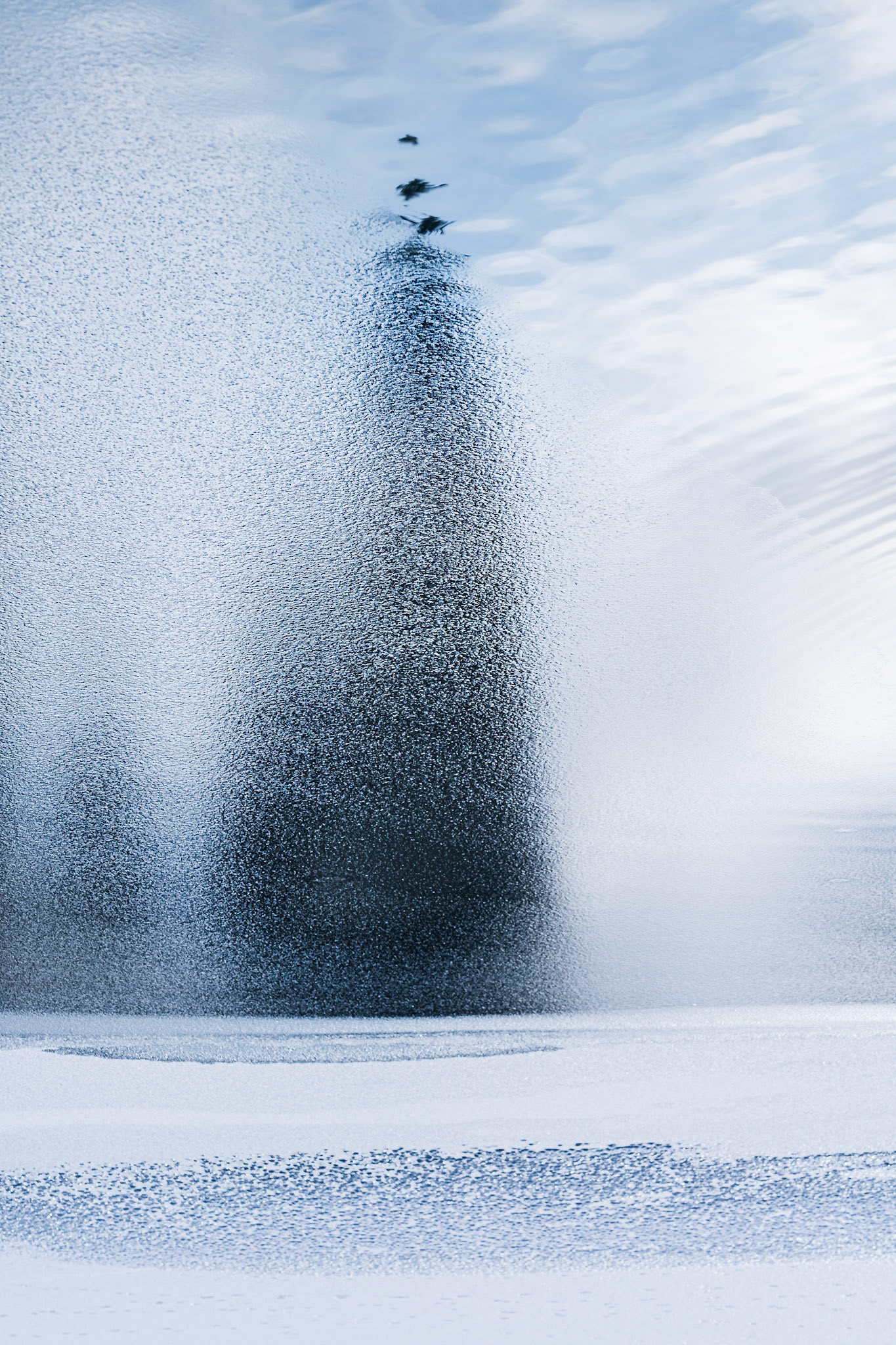 Reflet de sapin, pointe en lamelles, plaque de glace, rive enneigée. Ne dirait-on pas qu'il rêve de quelque chose ?