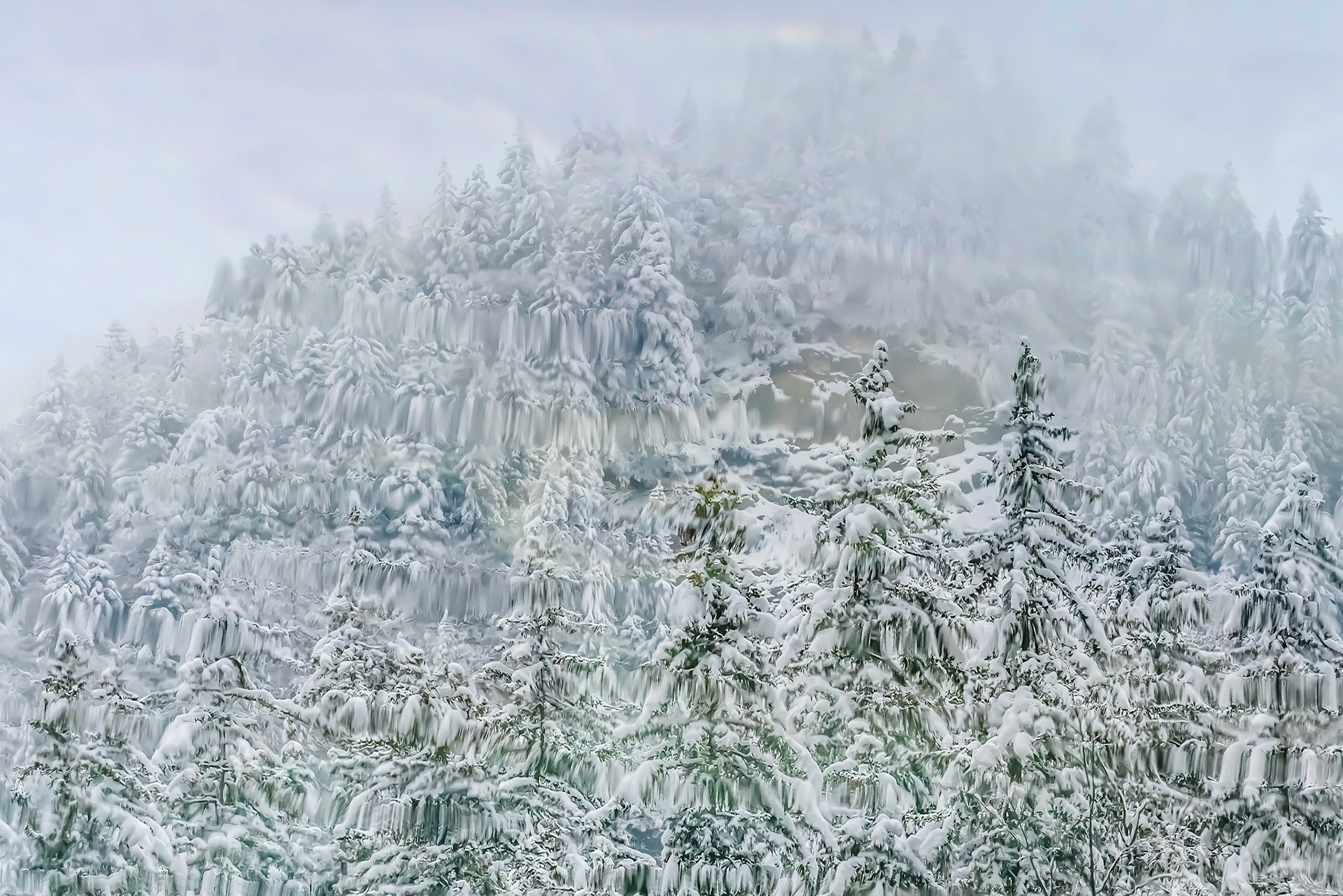 Reflet de sapins, iridescences du reflet, solo de roche apparente