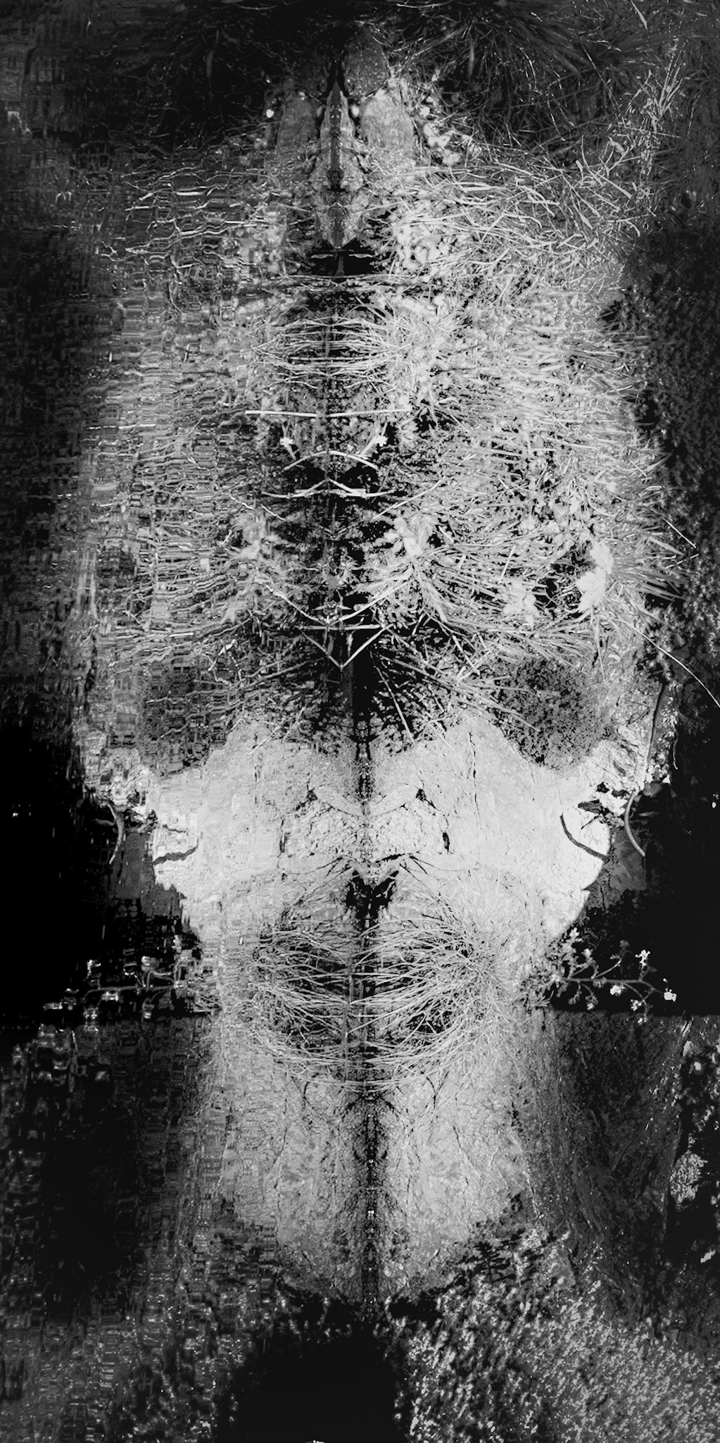 Ta lumière ne m’aveugle pas, et je vois un fond de peur trembler dans tes pupilles