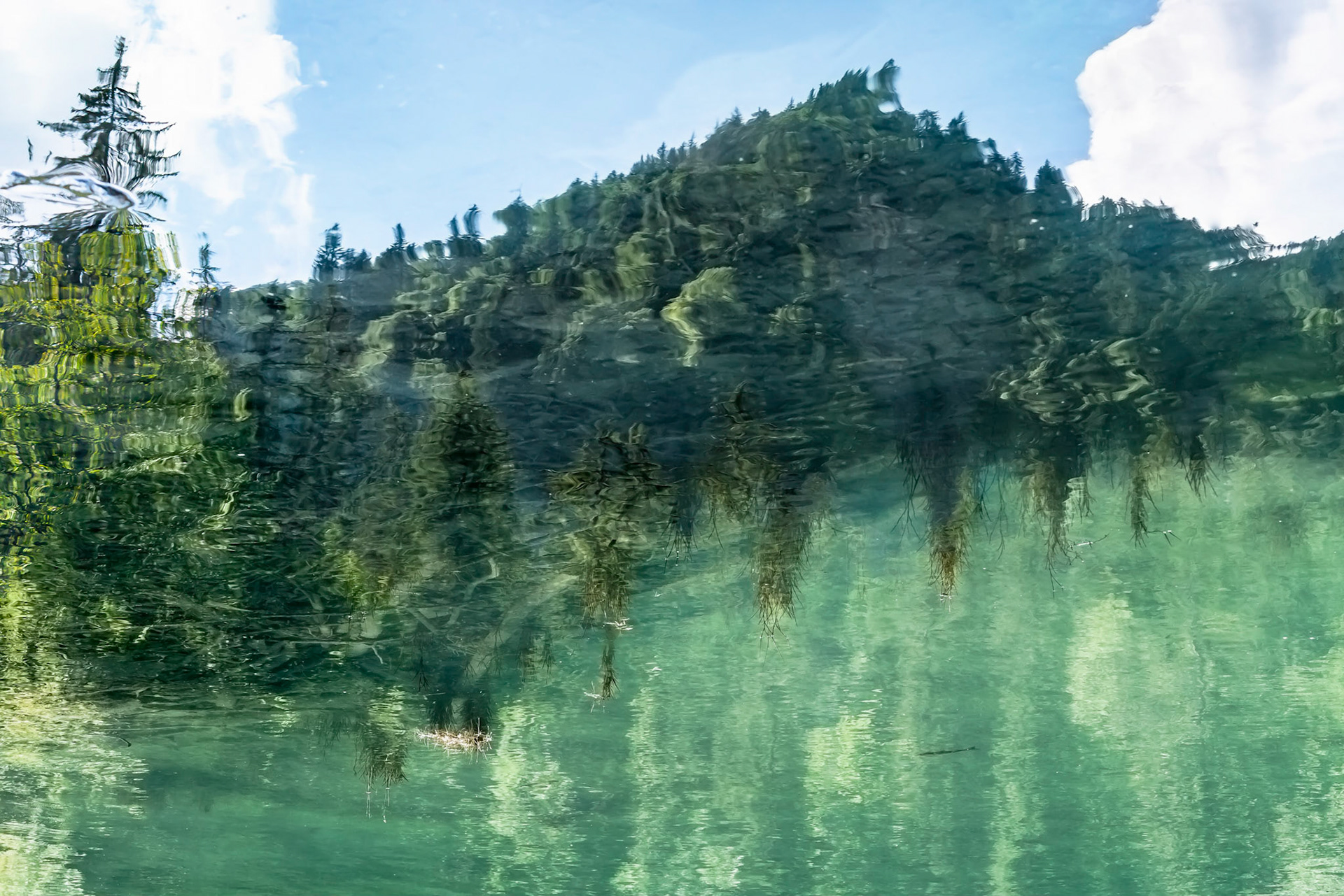 Barbe d'algues immergées, reflet de sapins d'été, insolence du ciel et de son reflet
