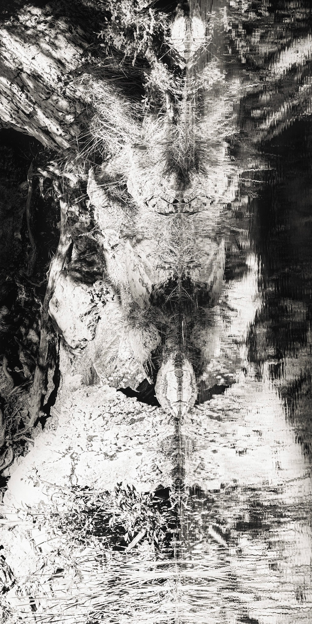 je reconnais mon âme solide dans ton côté rive