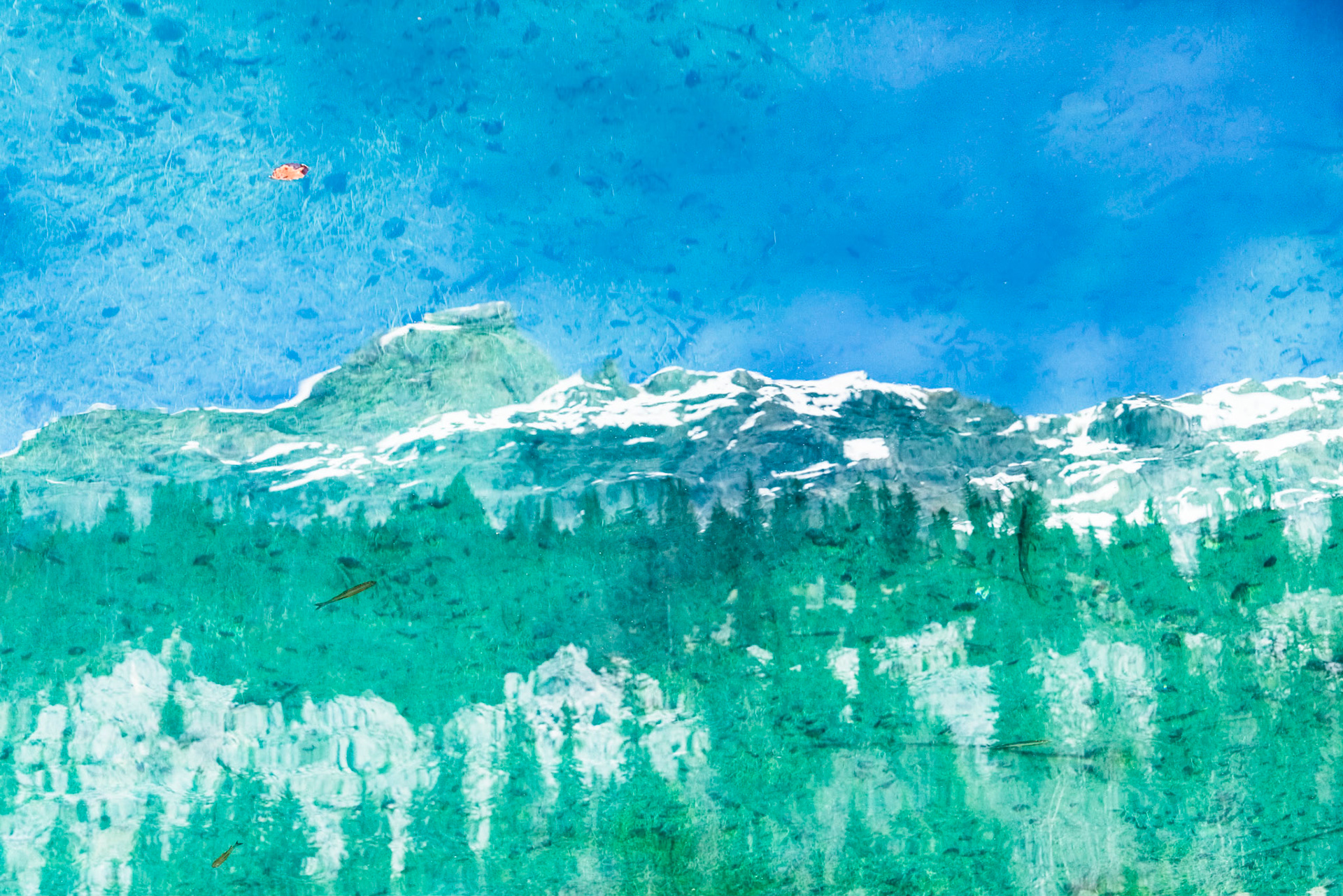 Reflet de montagne et de ciel bleu, poissons en eau translucide, nage de vieille feuille en orange délavé