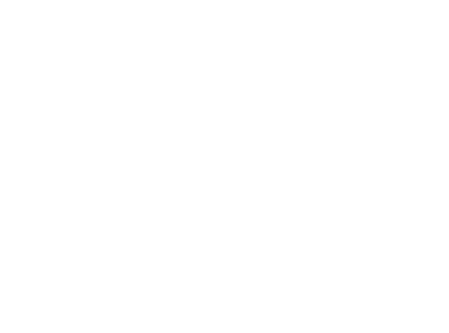 Extra Erin logo