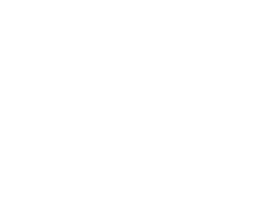 Handwritten Extra Erin Logo