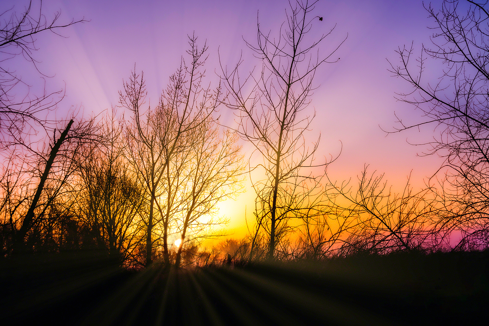 Coloado Sunrise