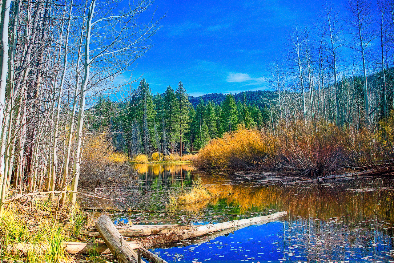 Alpine Lake Reflections