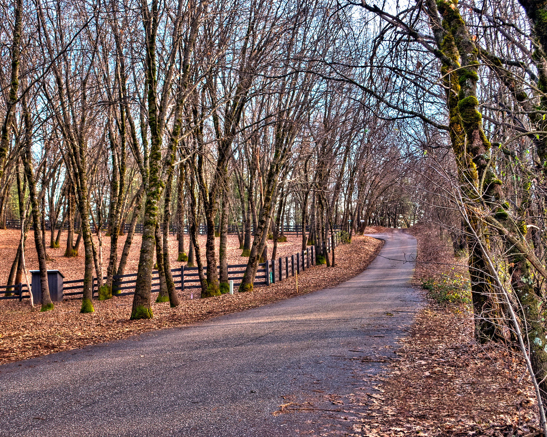Off Rattlesnake Road