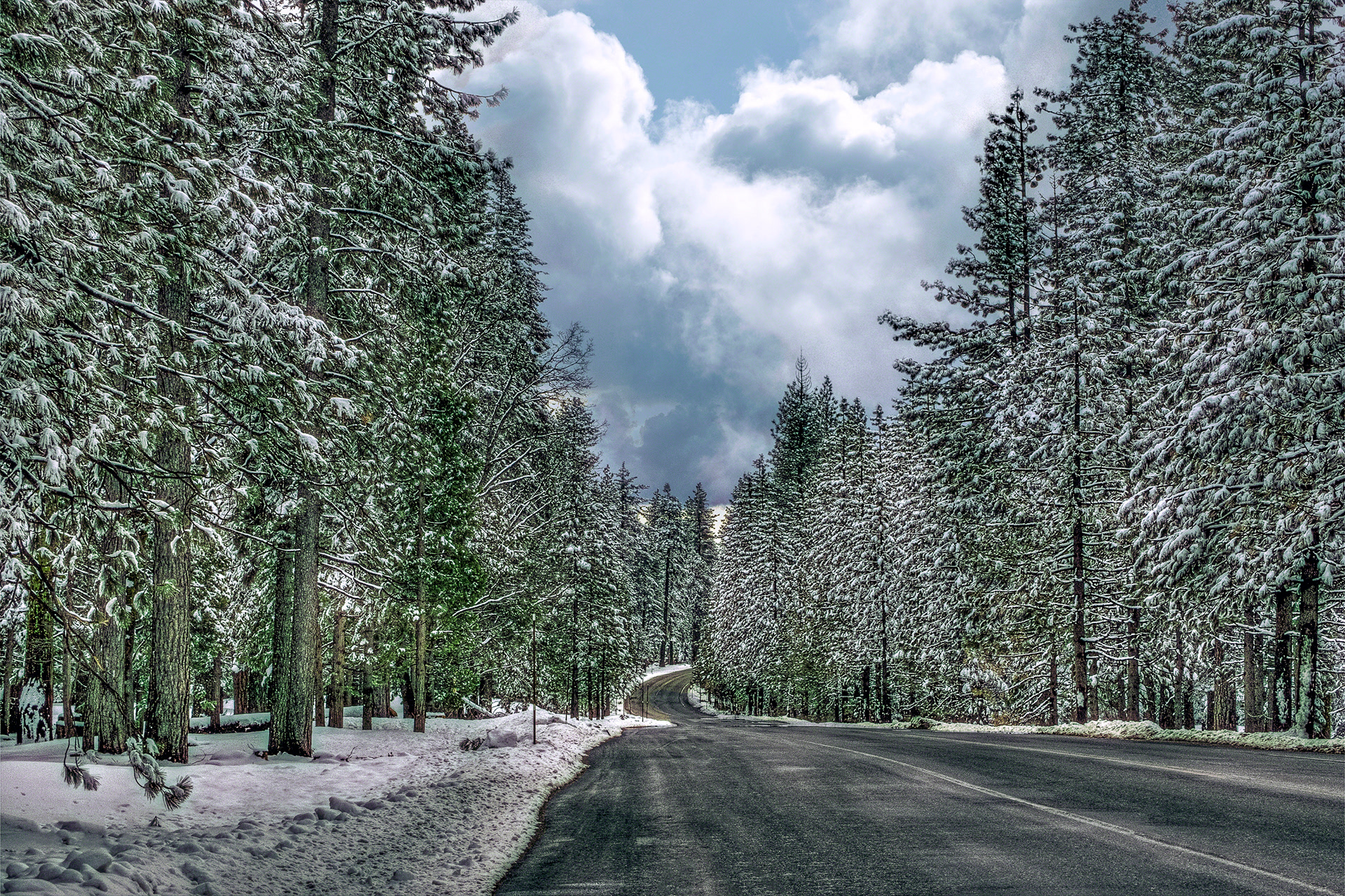The Road Home