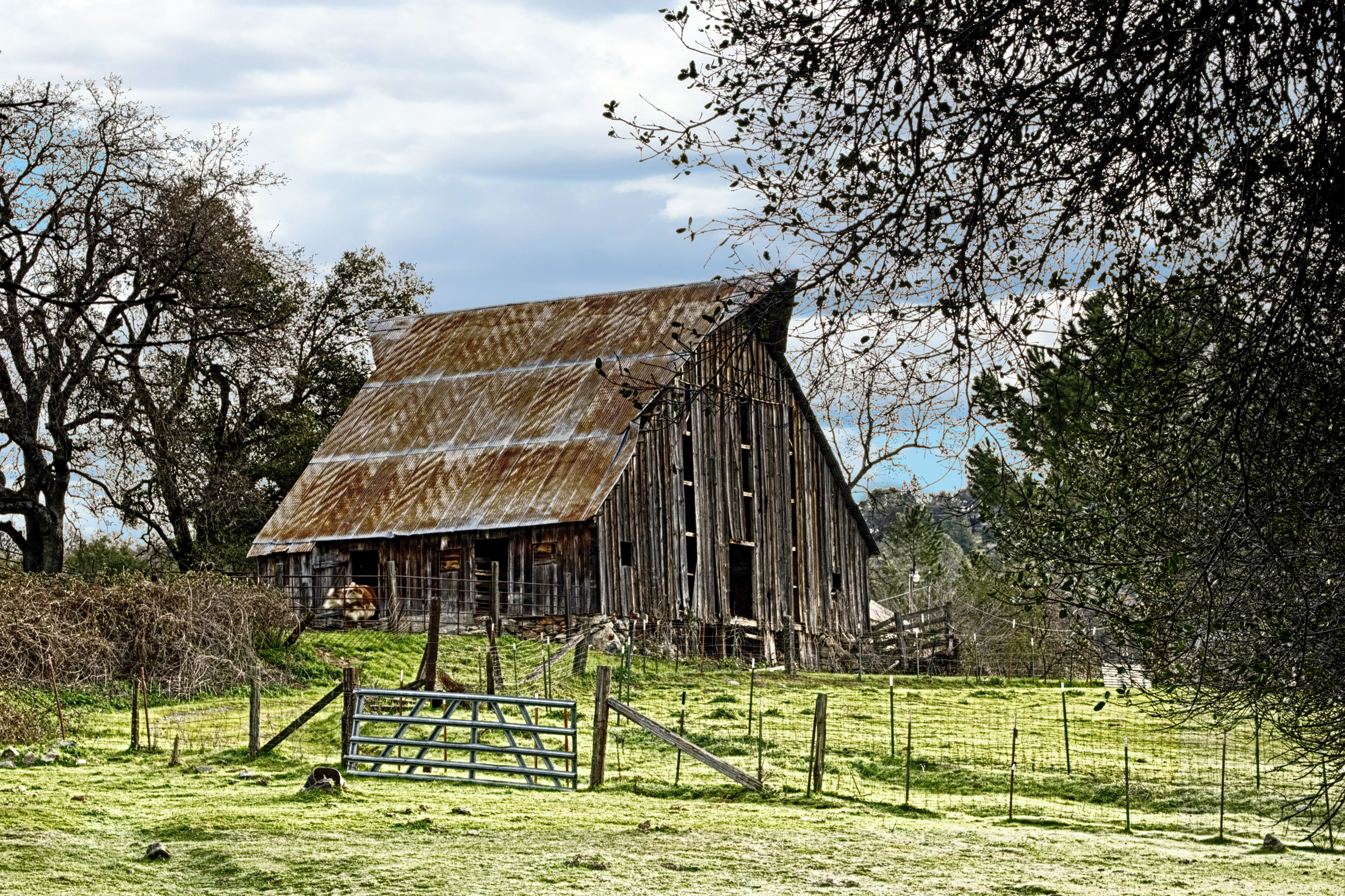 Back Country Barn