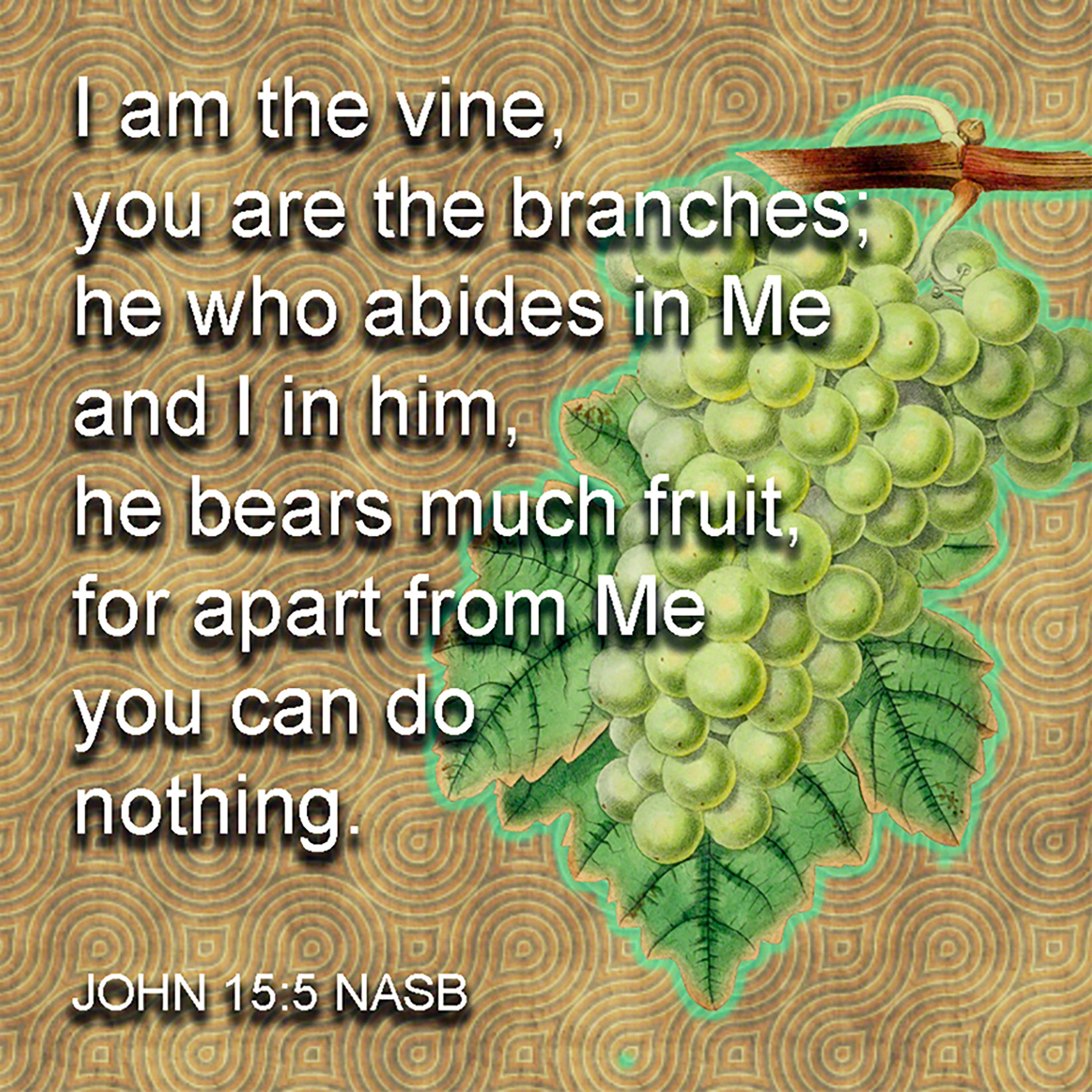 I Am The Vine