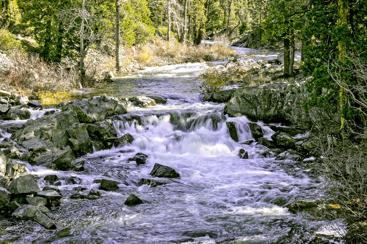 Yuba River Sierra Run