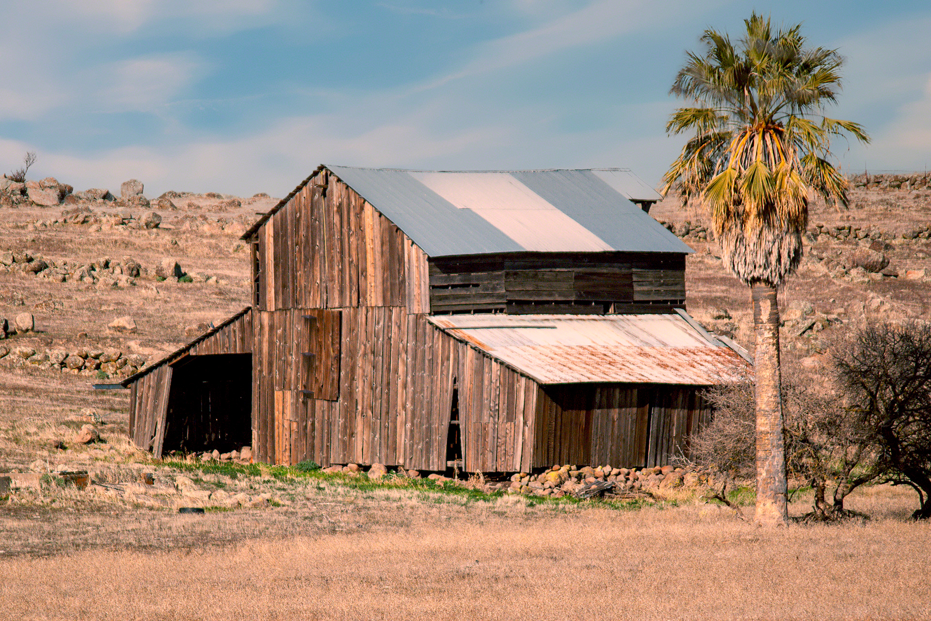 Palm Tree Barn