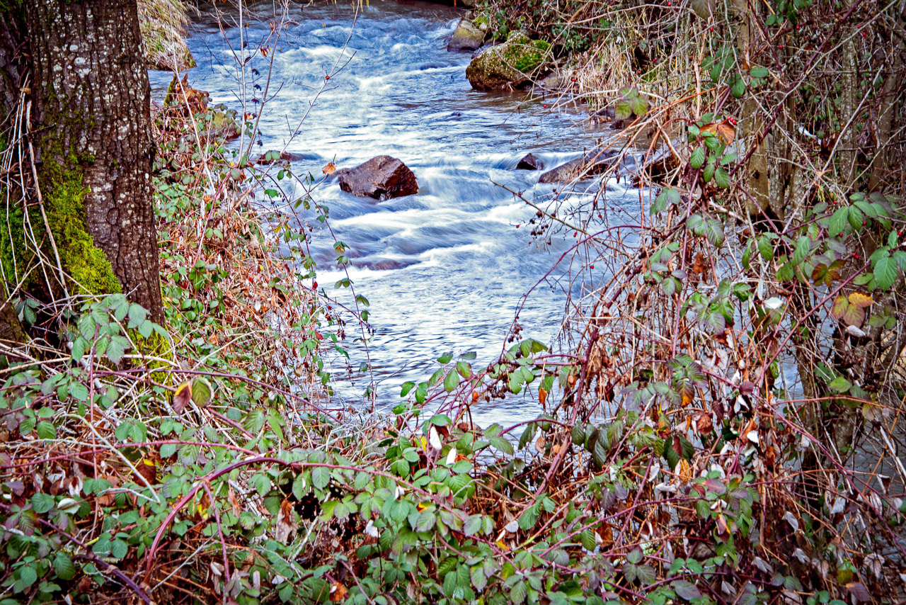 Wolf Creek