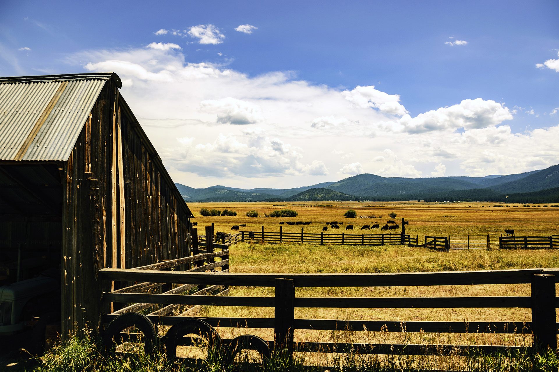 1895 Cattle Ranch in Sattley, CA