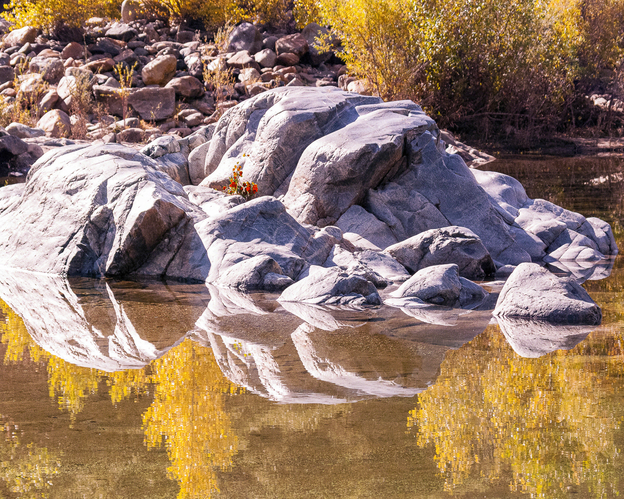 Yuba River Autumn Reflections