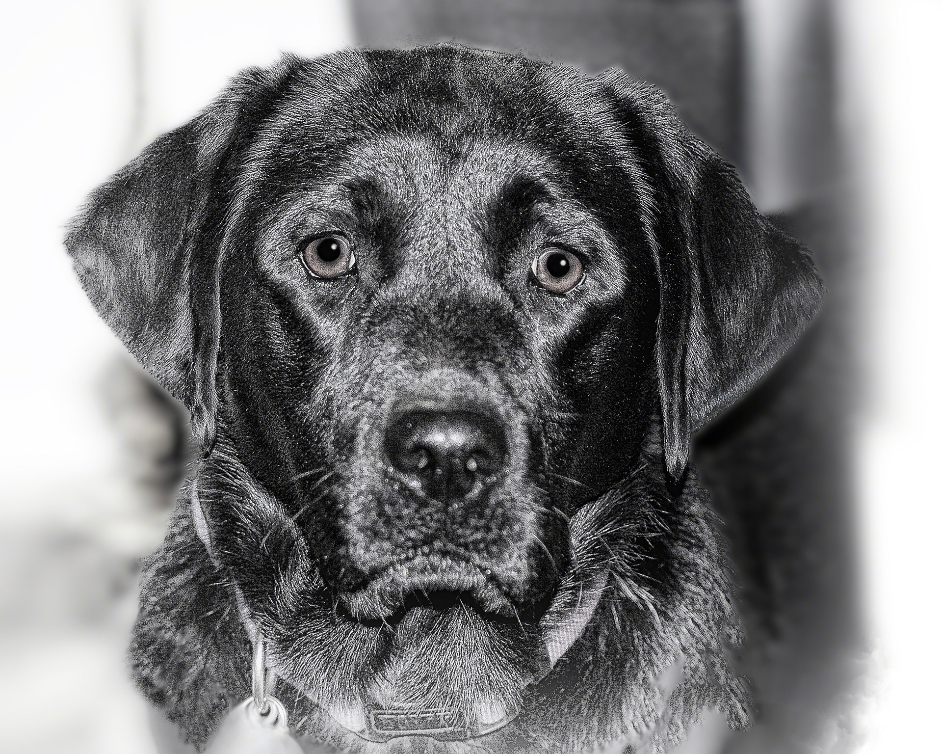 Emma Girl