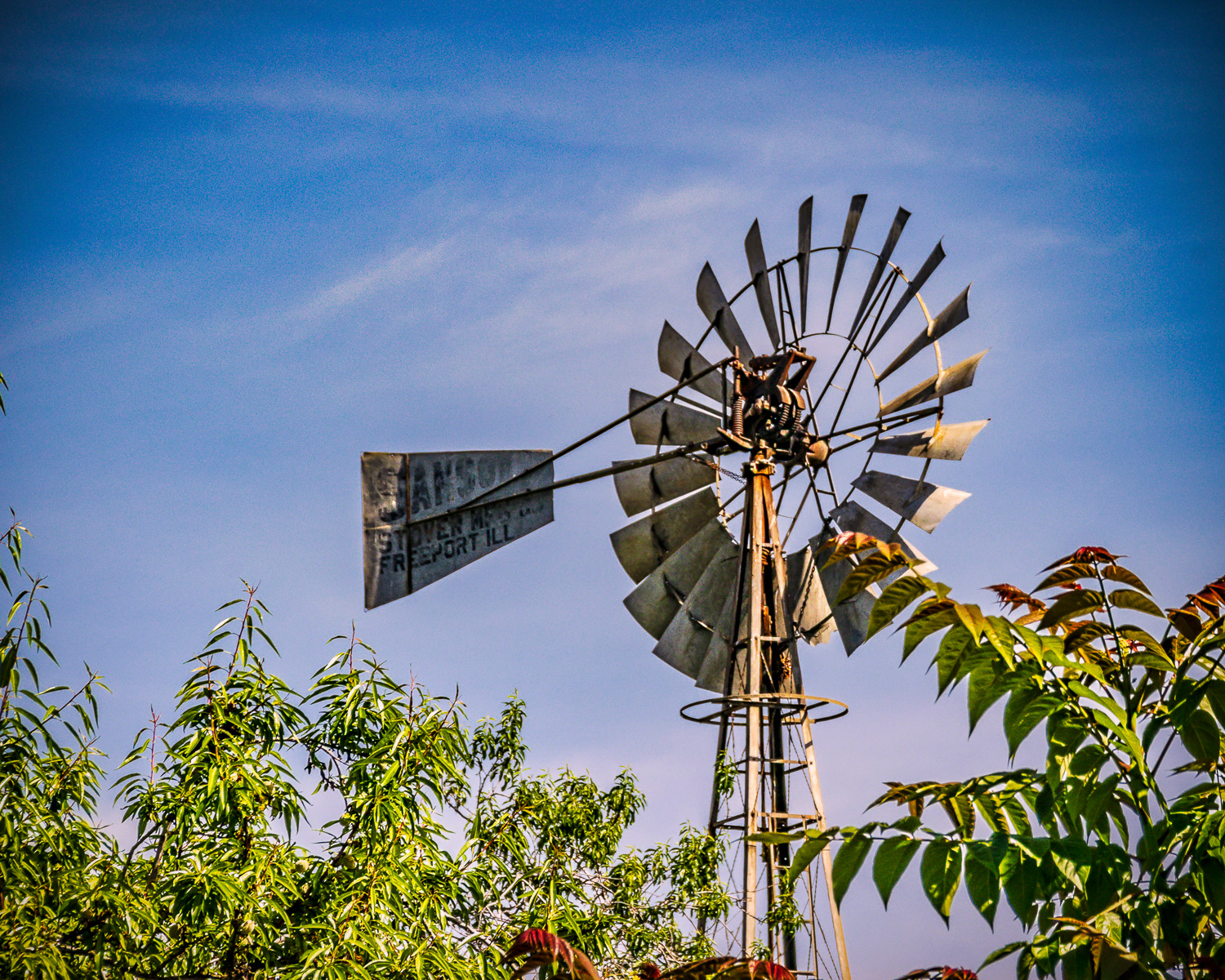 Country Windmill