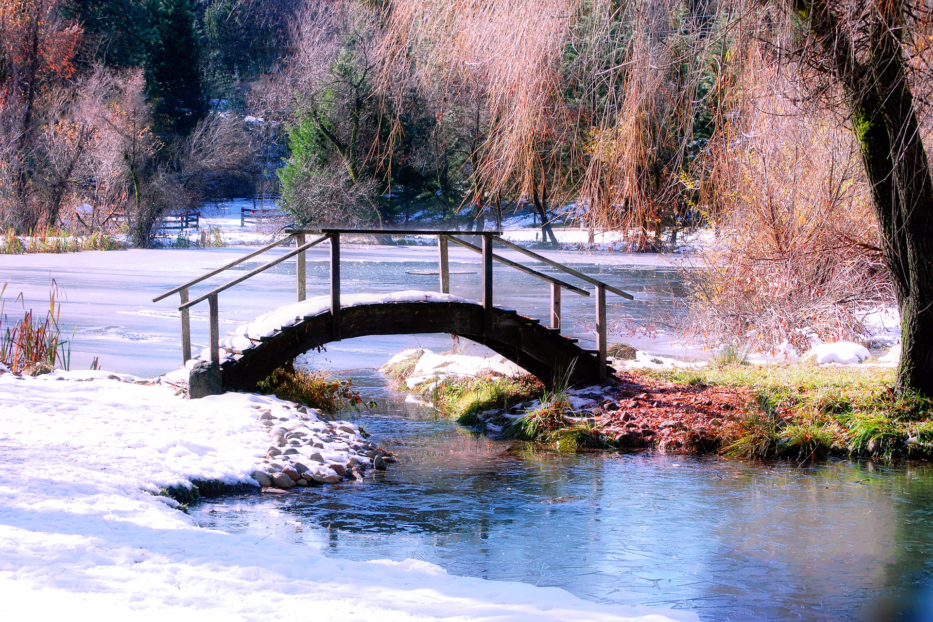 Winter Pond Bridge
