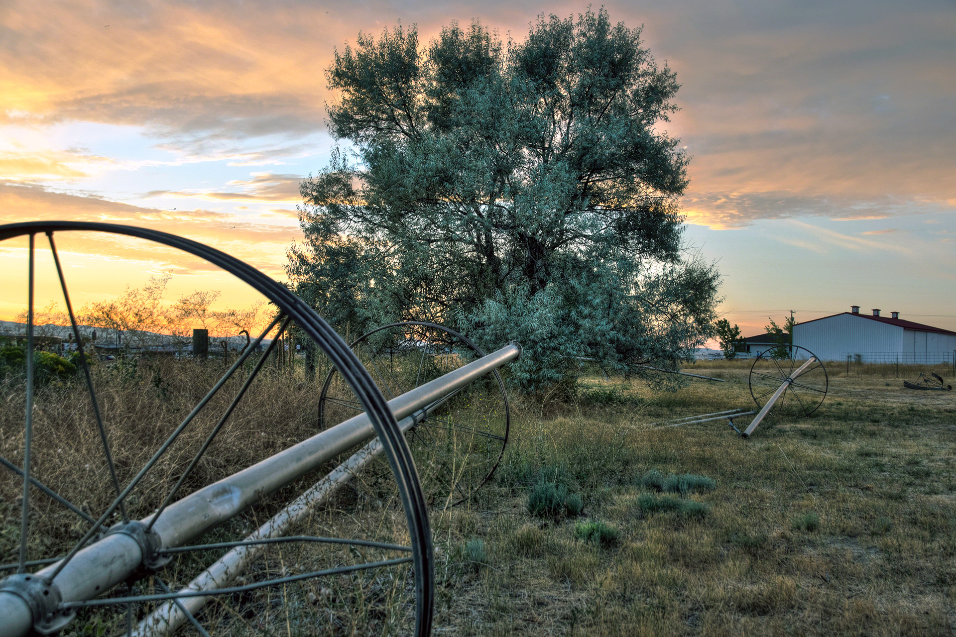 Oregon Farmers Field