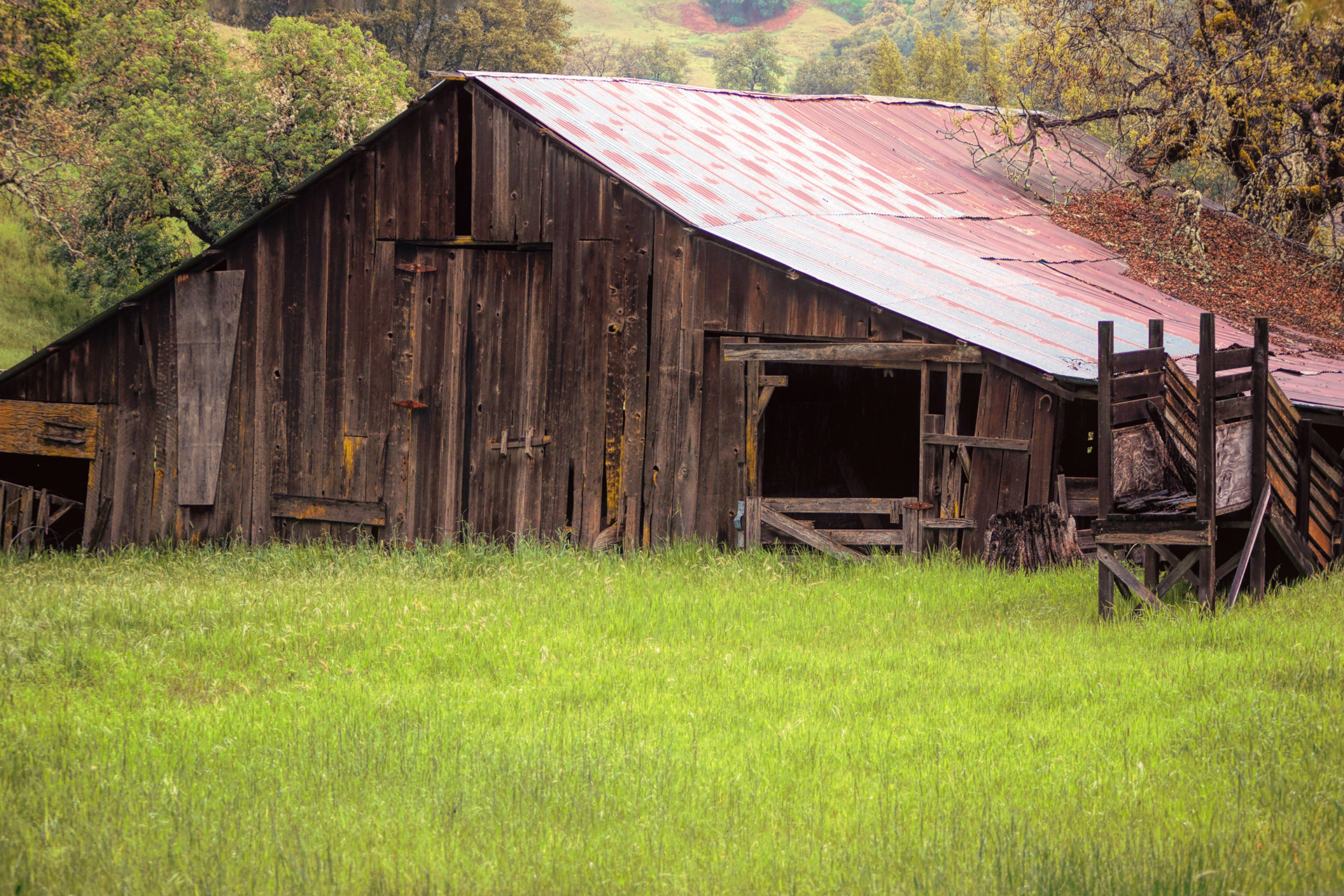 Sinking Barn in Mendocino