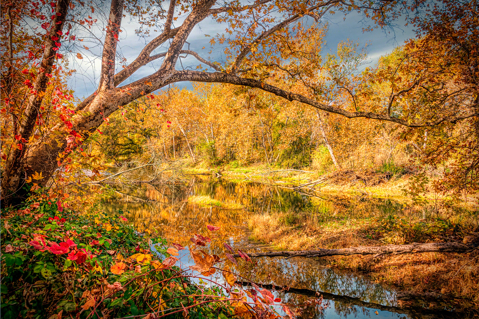 Fall Color Calm