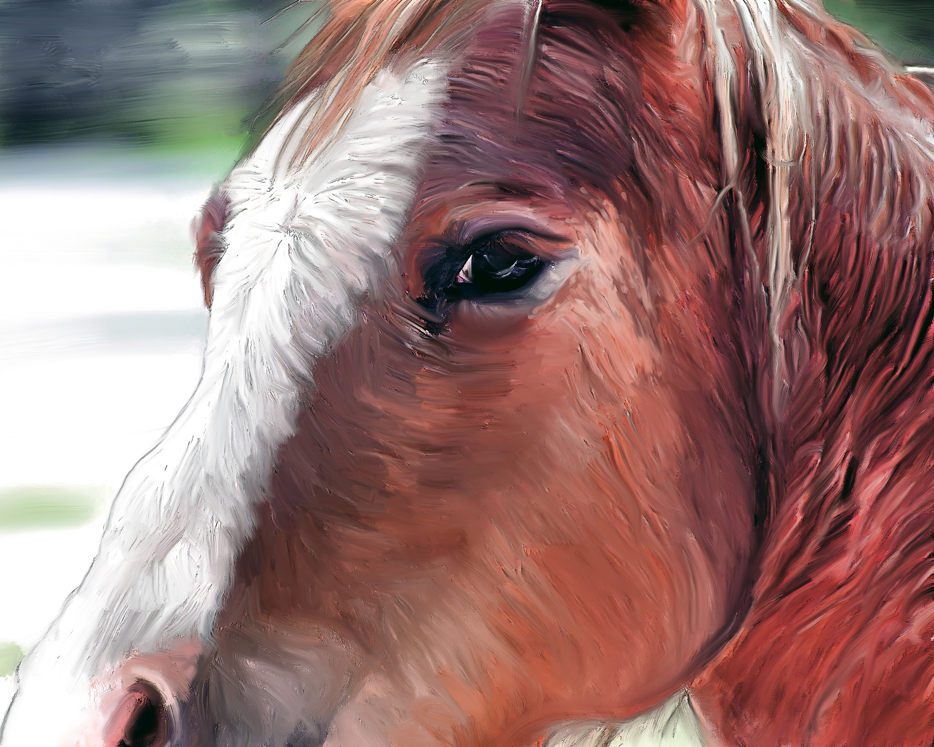 Horse Looking