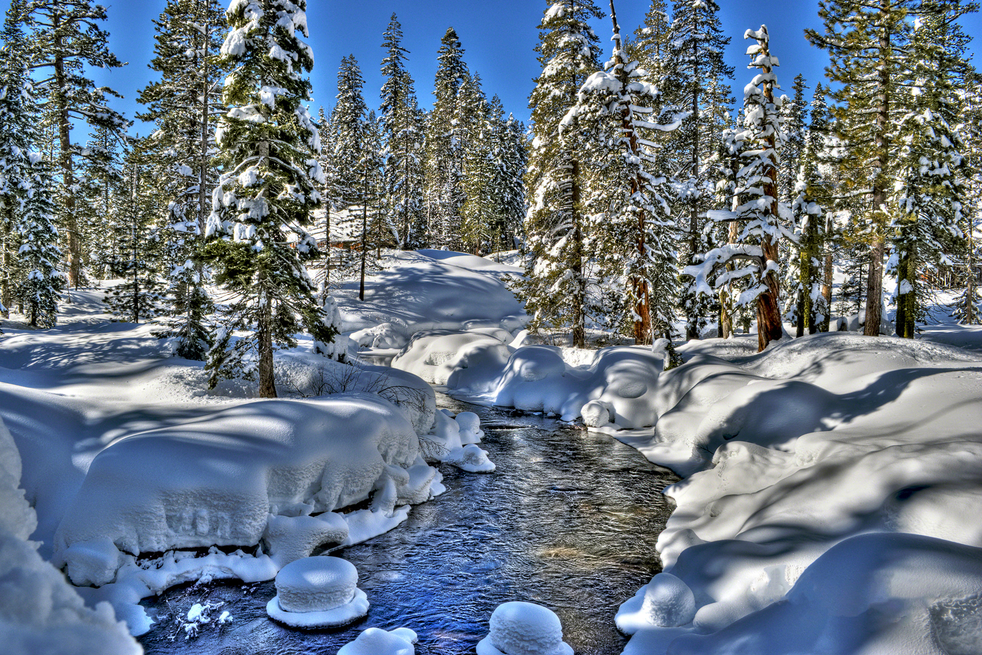 Sugarland Forest Yuba River