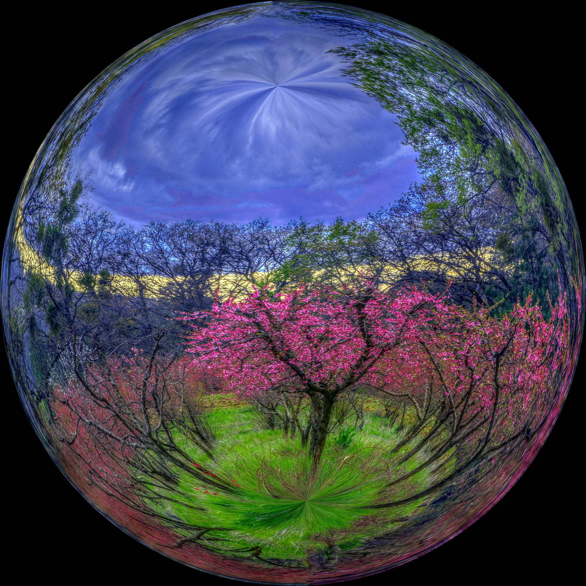 Peachy Scene Sphere