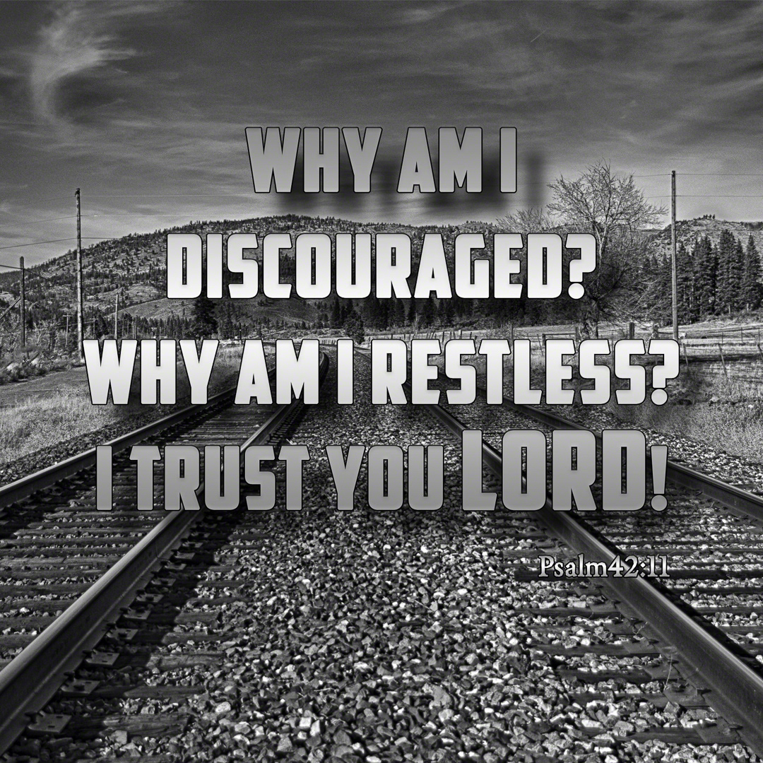 I Trust You Lord