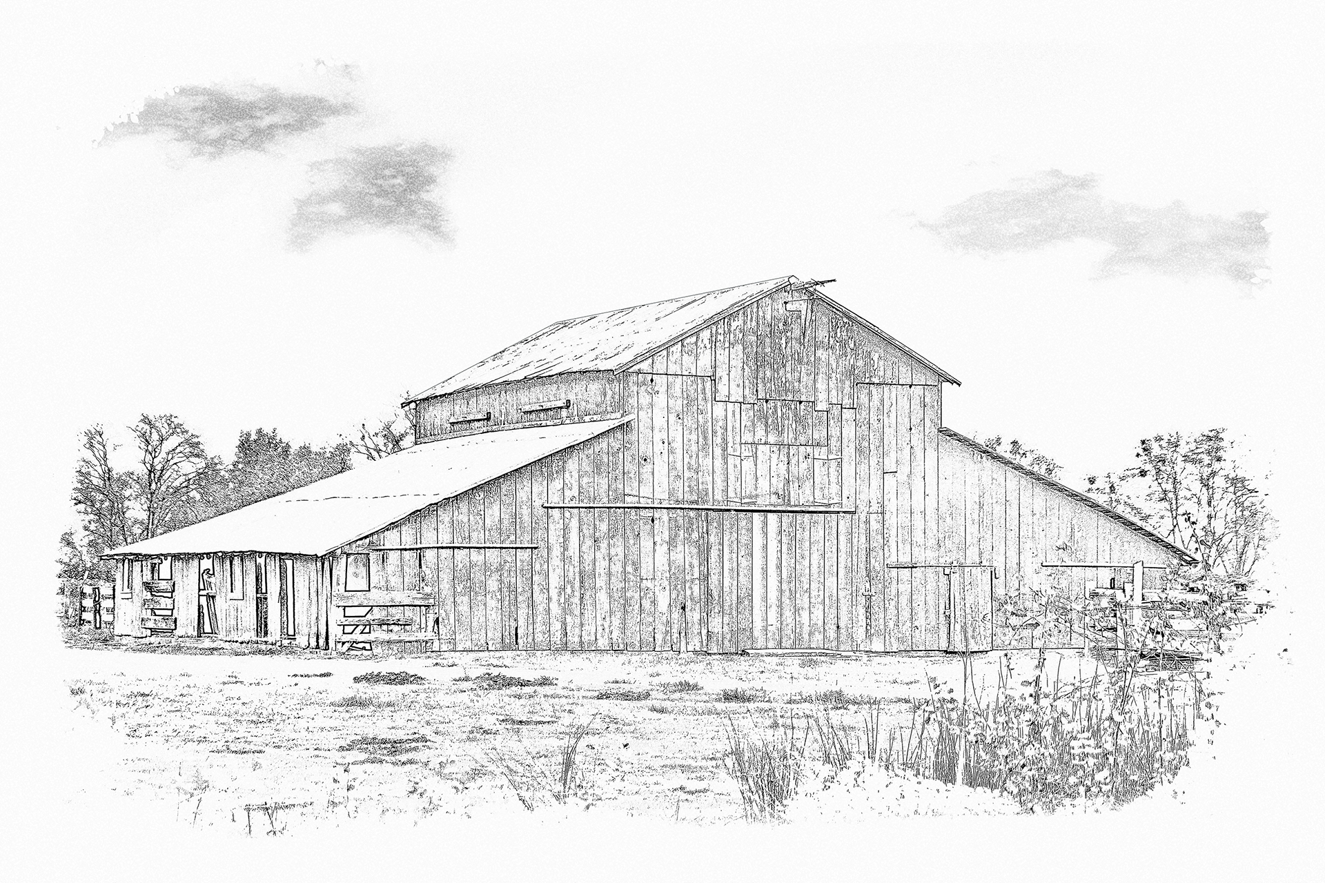 Marysville Barn Sketch