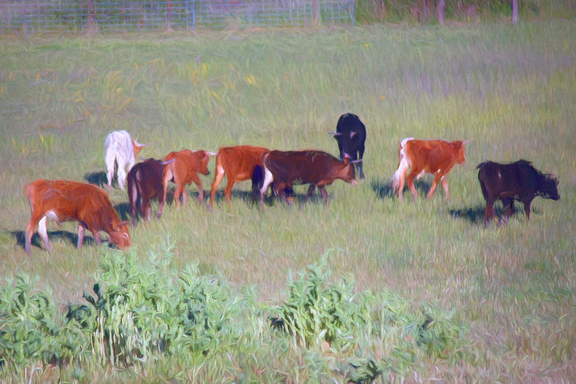 Cattle On The Move