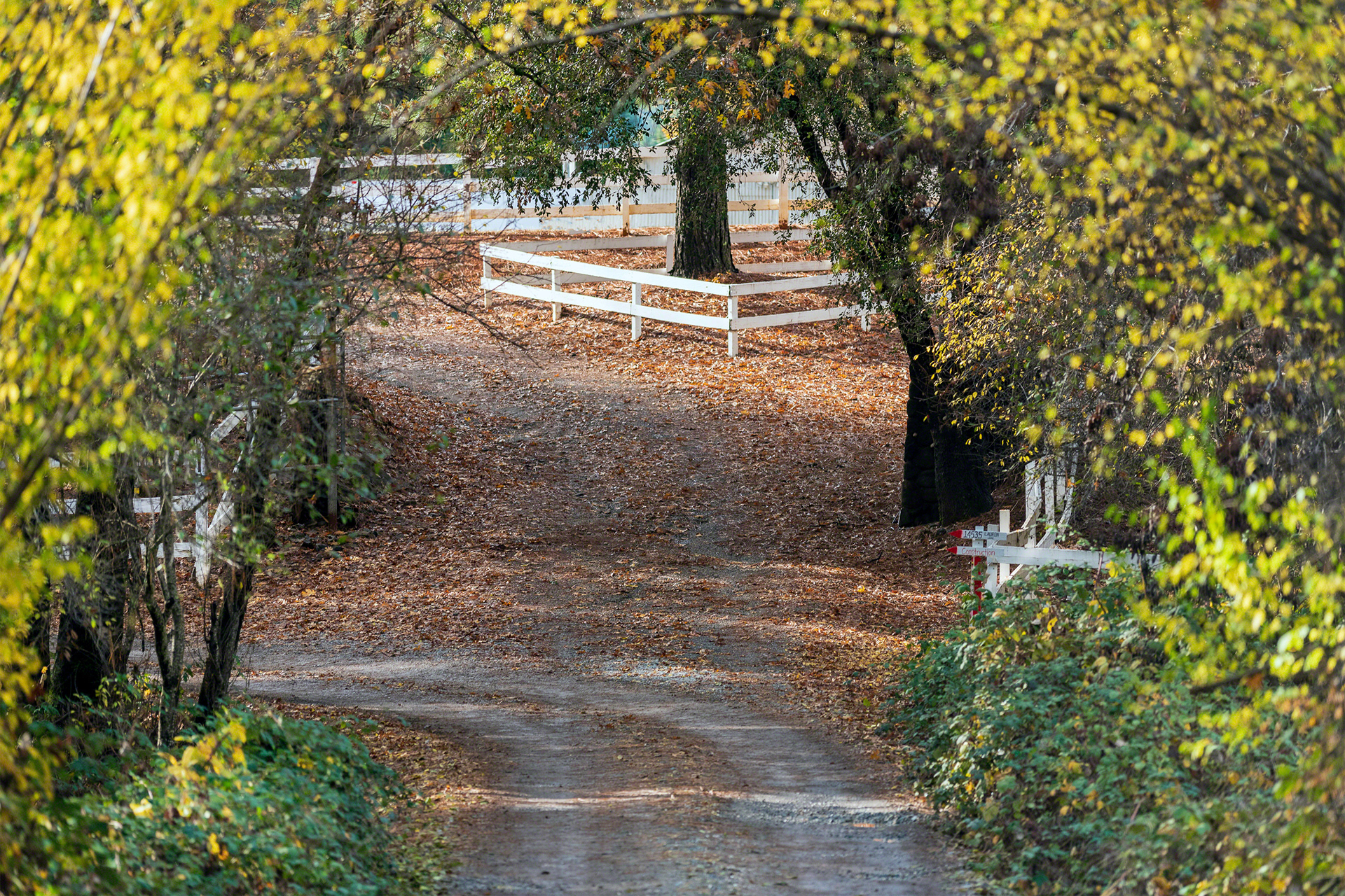 A Look Down Lauren Lane