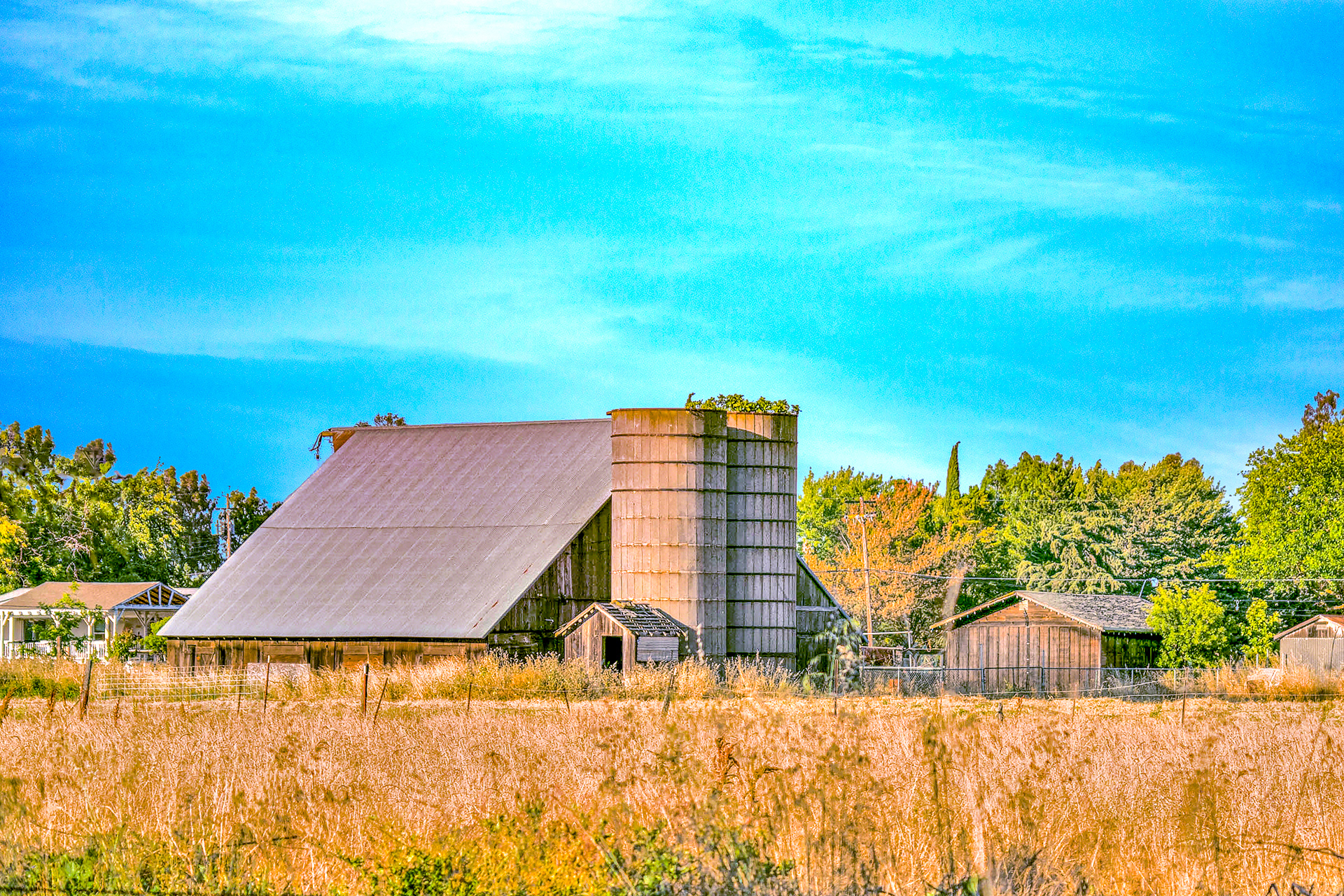 Central Californis Barn