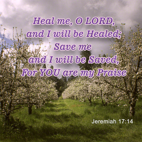 Heal Me Lord