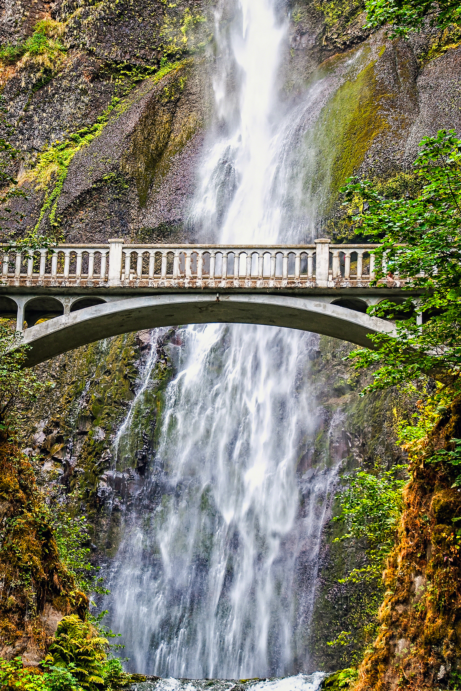 Multnomah Falls Bridge