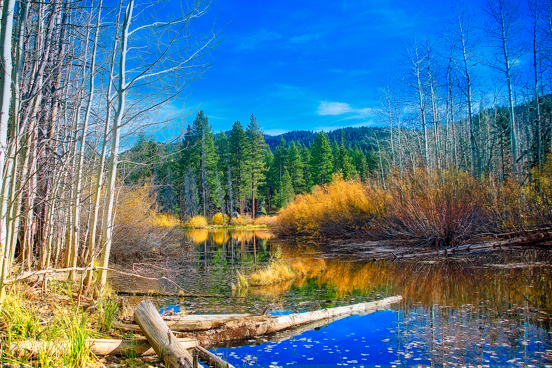 Alpine Reflections