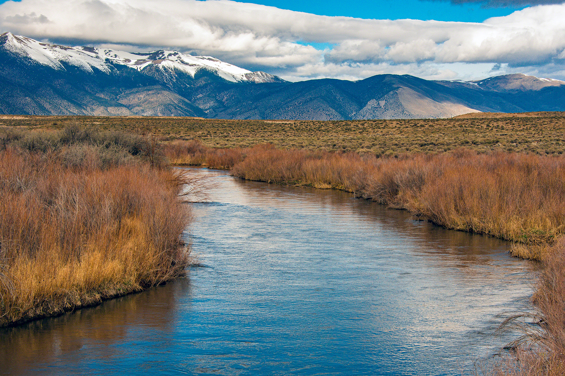 Walker River Scene