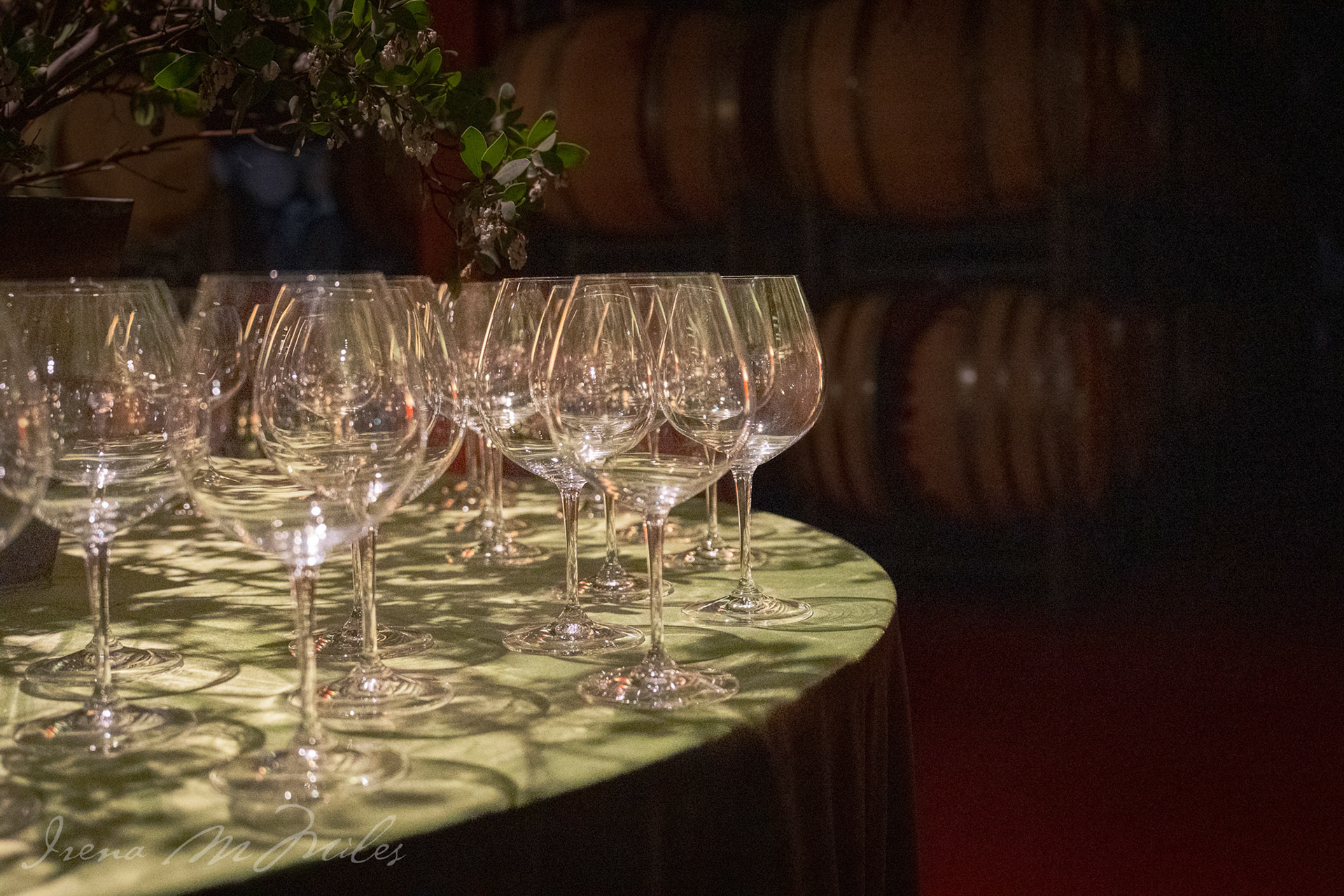 Members Dinner Chappellet Winery