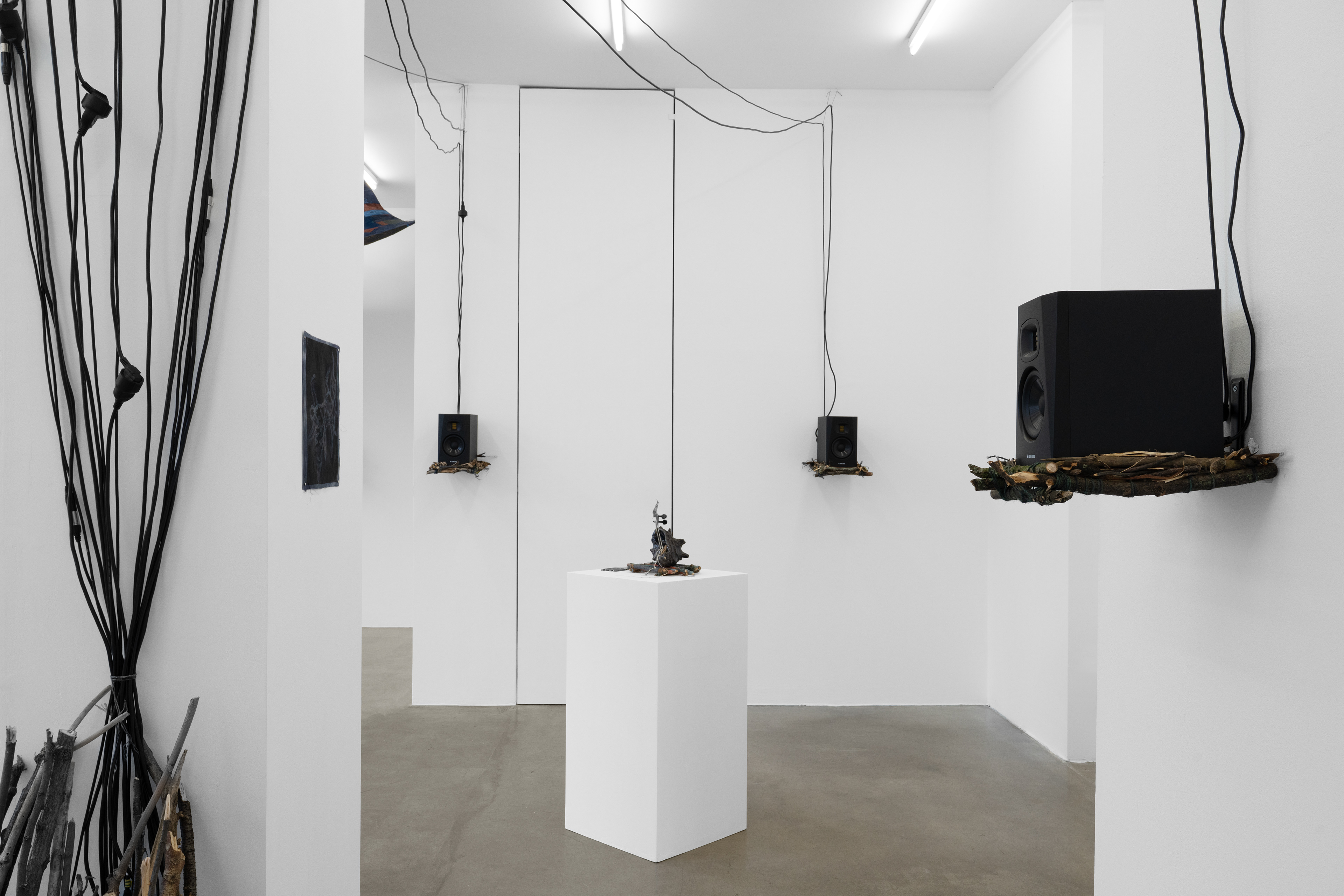 Installation view, photos by Joanna Wilk