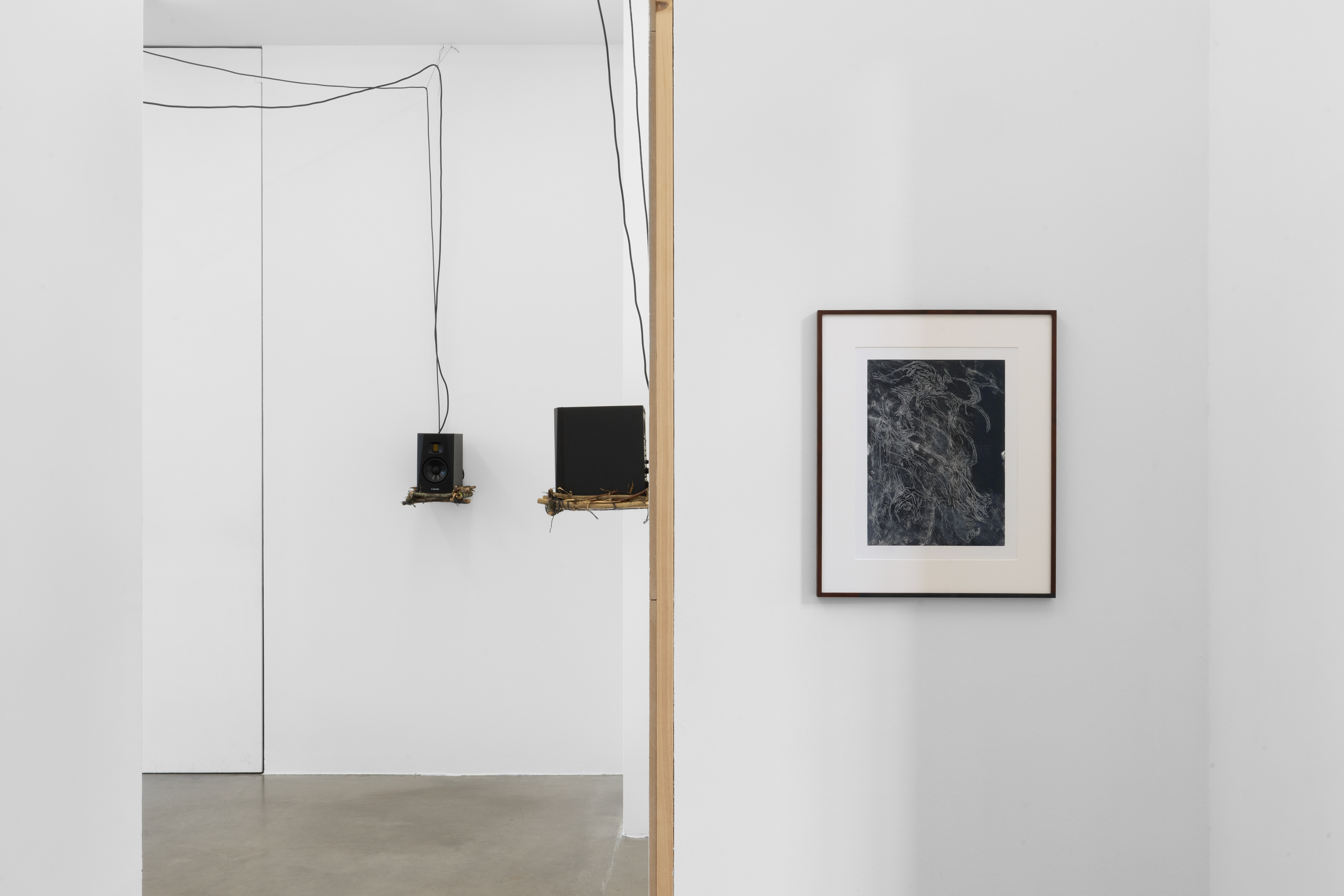 Installation view, photos by Joanna Wilk