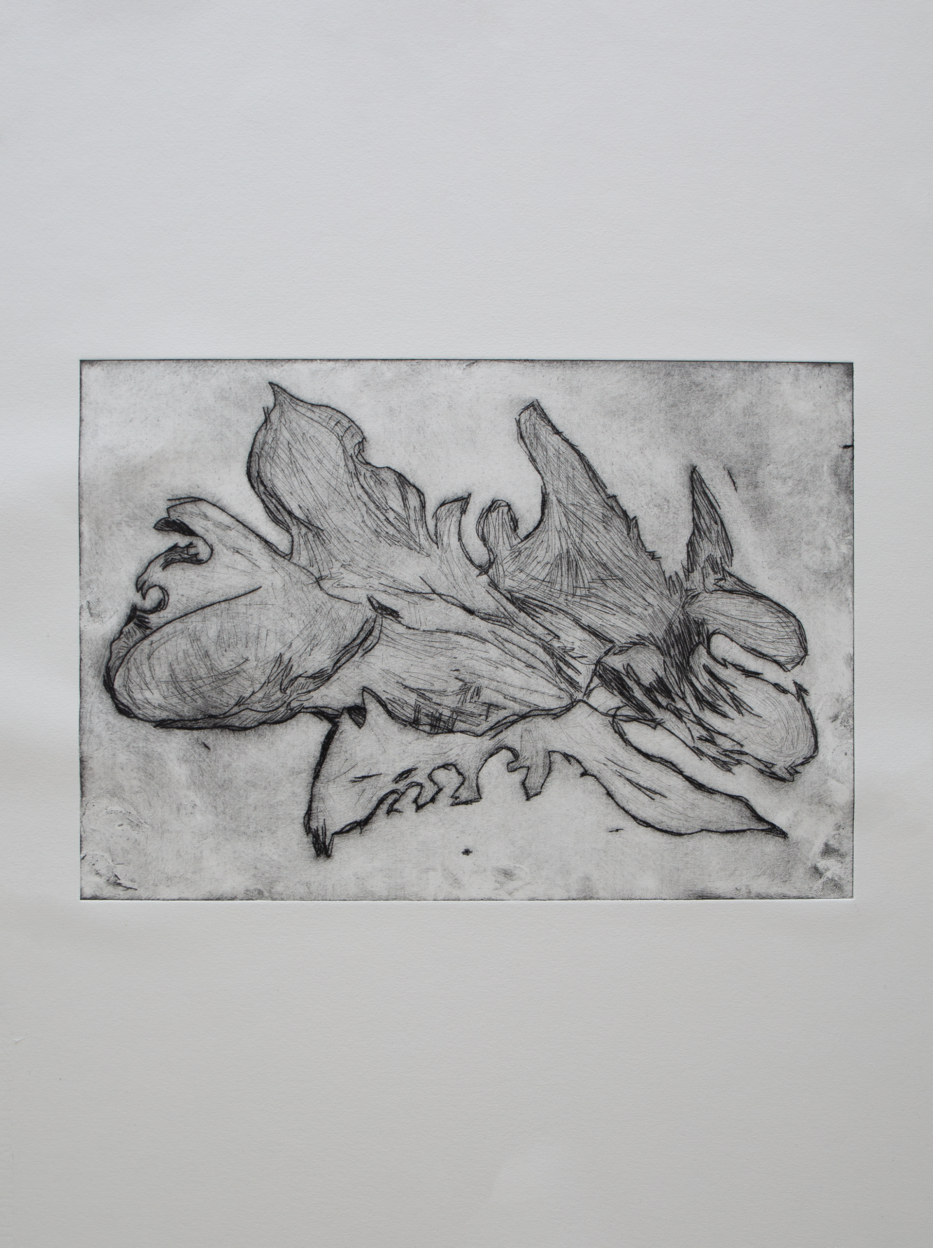 copper etching printed on paper