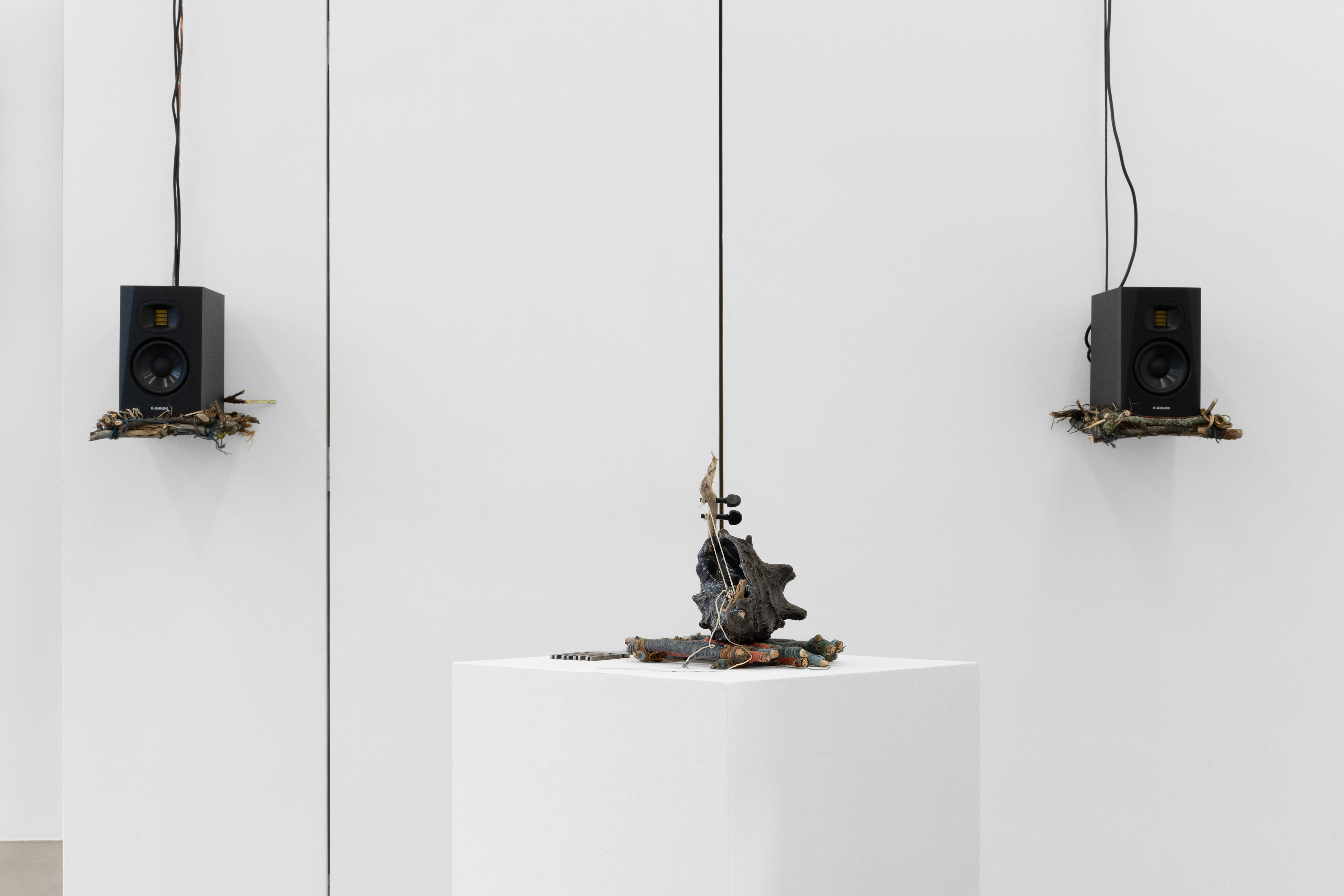 The Queen Conch, 2025, Ceramics, wood, 29 x 26,5 x 16 cm, Raft, 31 x 25 x 3 cm
