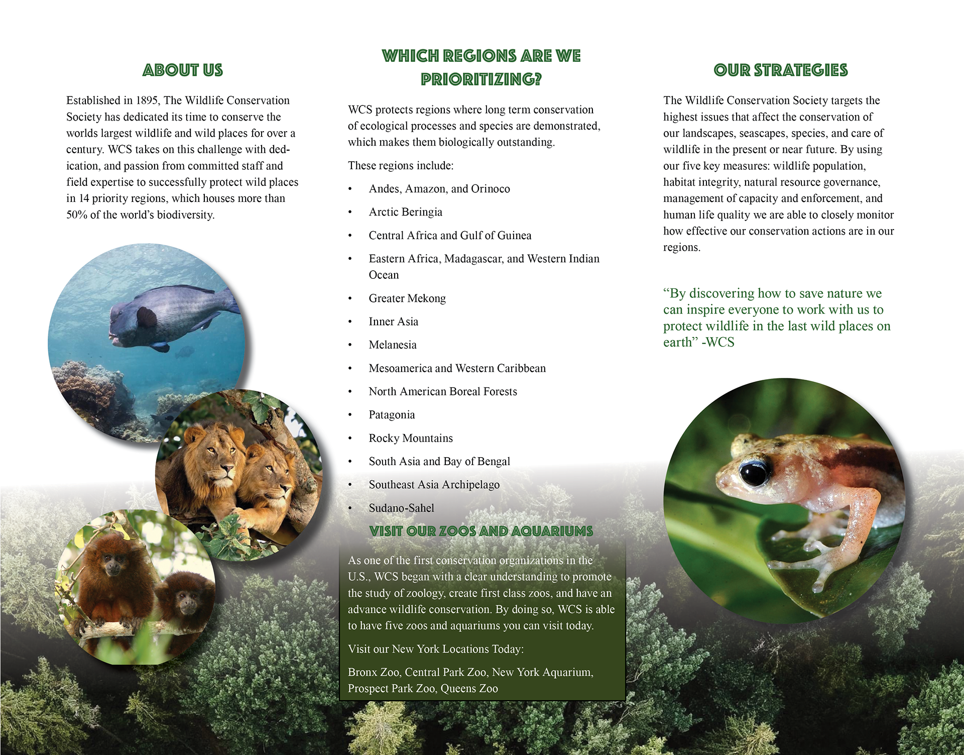 WCS Brochure (Inside)