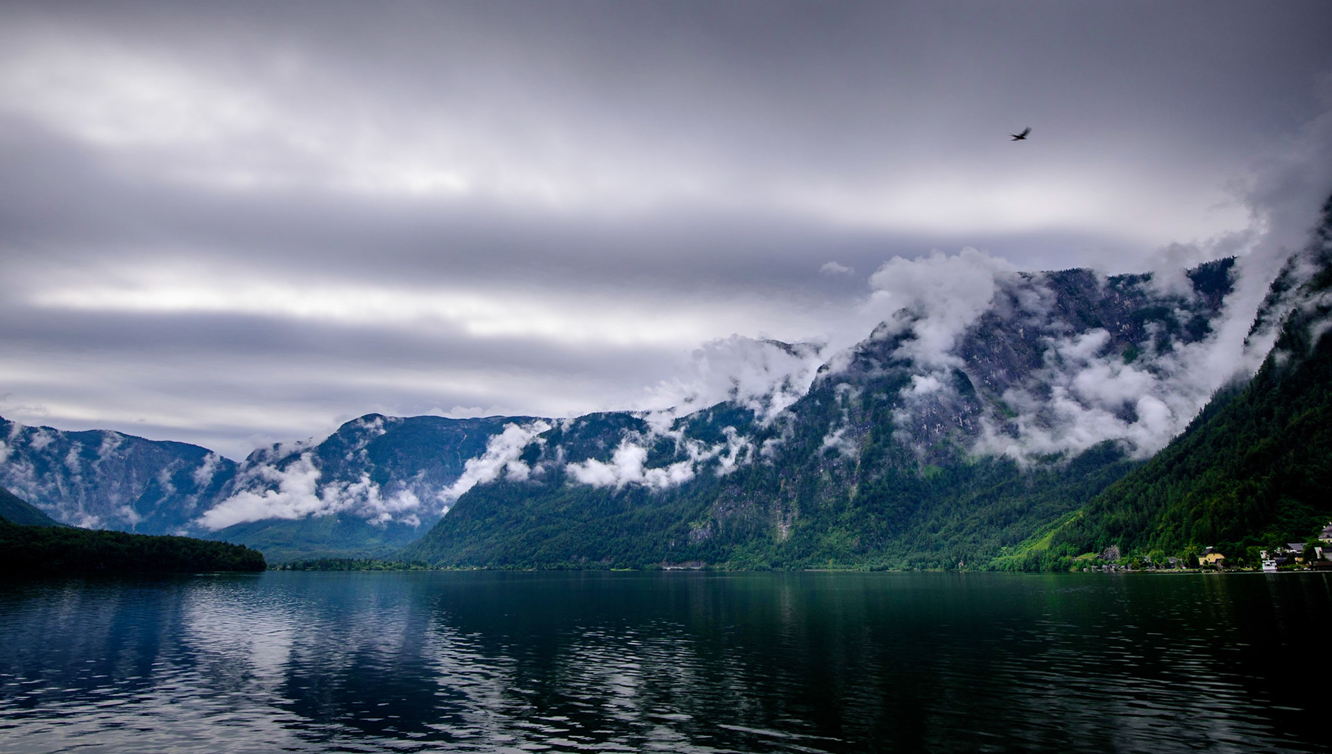 Calm After the Rain