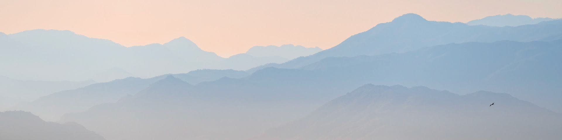 Blue Morning I
